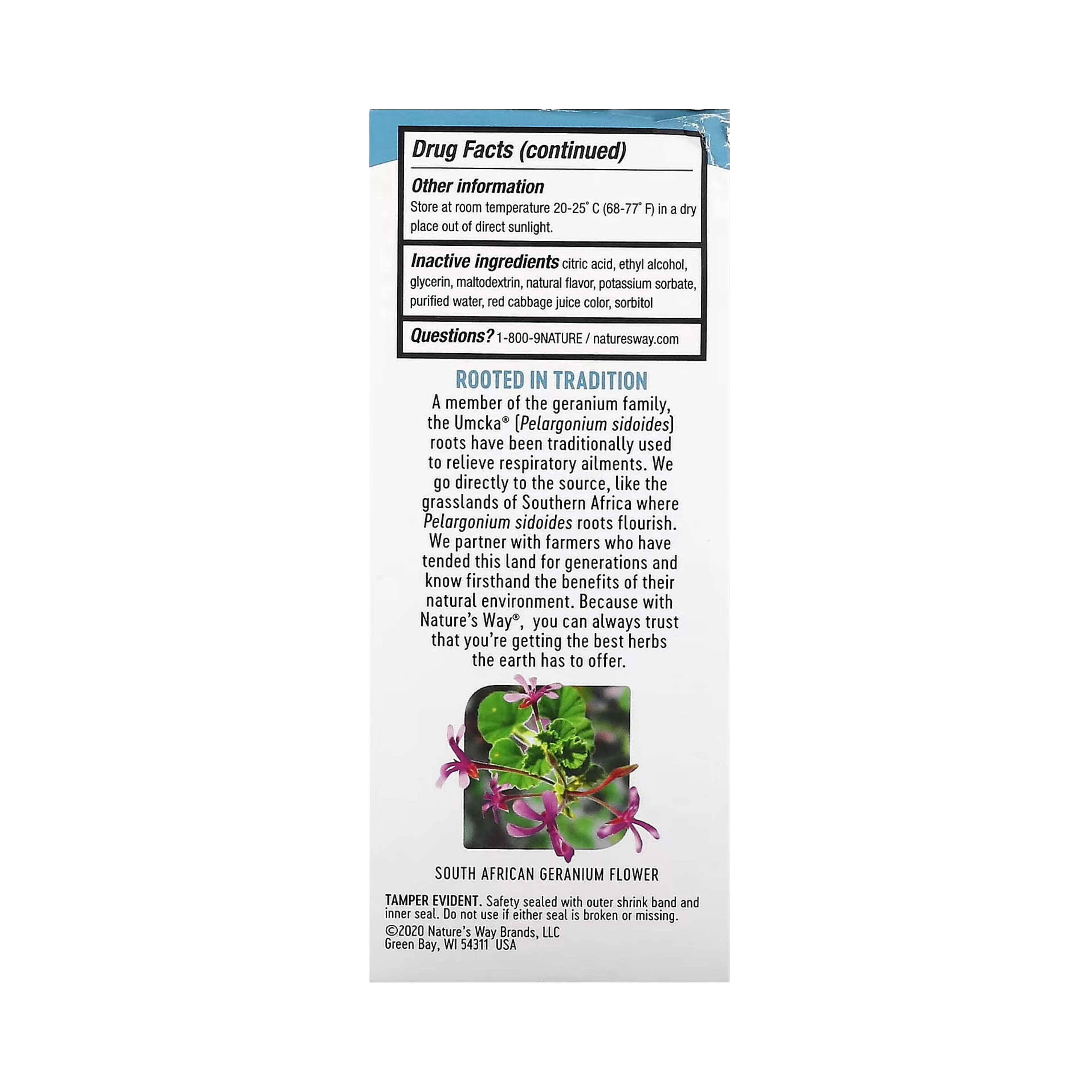 Nature's Way, Umcka ColdCare, Soothing Syrup, Sugar Free, Grape, 4 Fl Oz