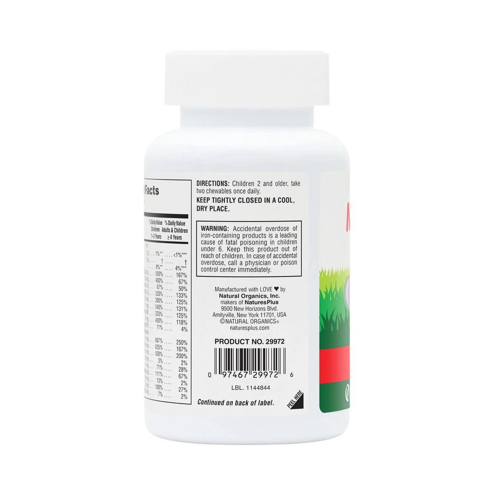 NaturesPlus, Animal Parade, Children's Chewable Multivitamin Supplement, Cherry, 180 Animal-Shaped Tablets