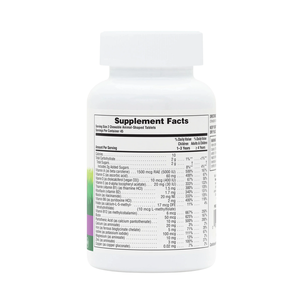 NaturesPlus, Animal Parade, Children's Chewable Multivitamin Supplement, Grape, 90 Animal-Shaped Tablets