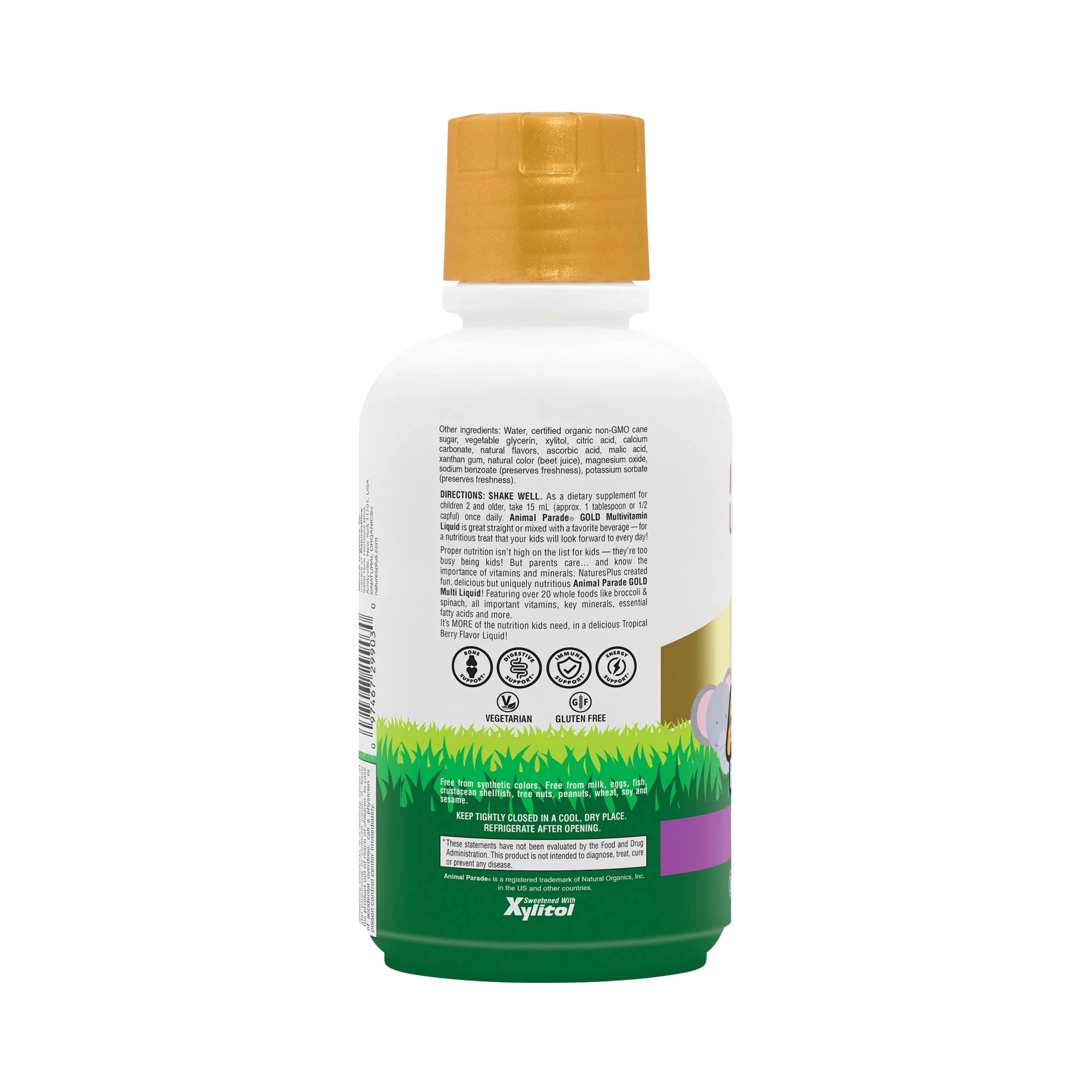 NaturesPlus, Children's Animal Parade Gold Multivitamin Liquid, Tropical Berry, 16 Fl Oz