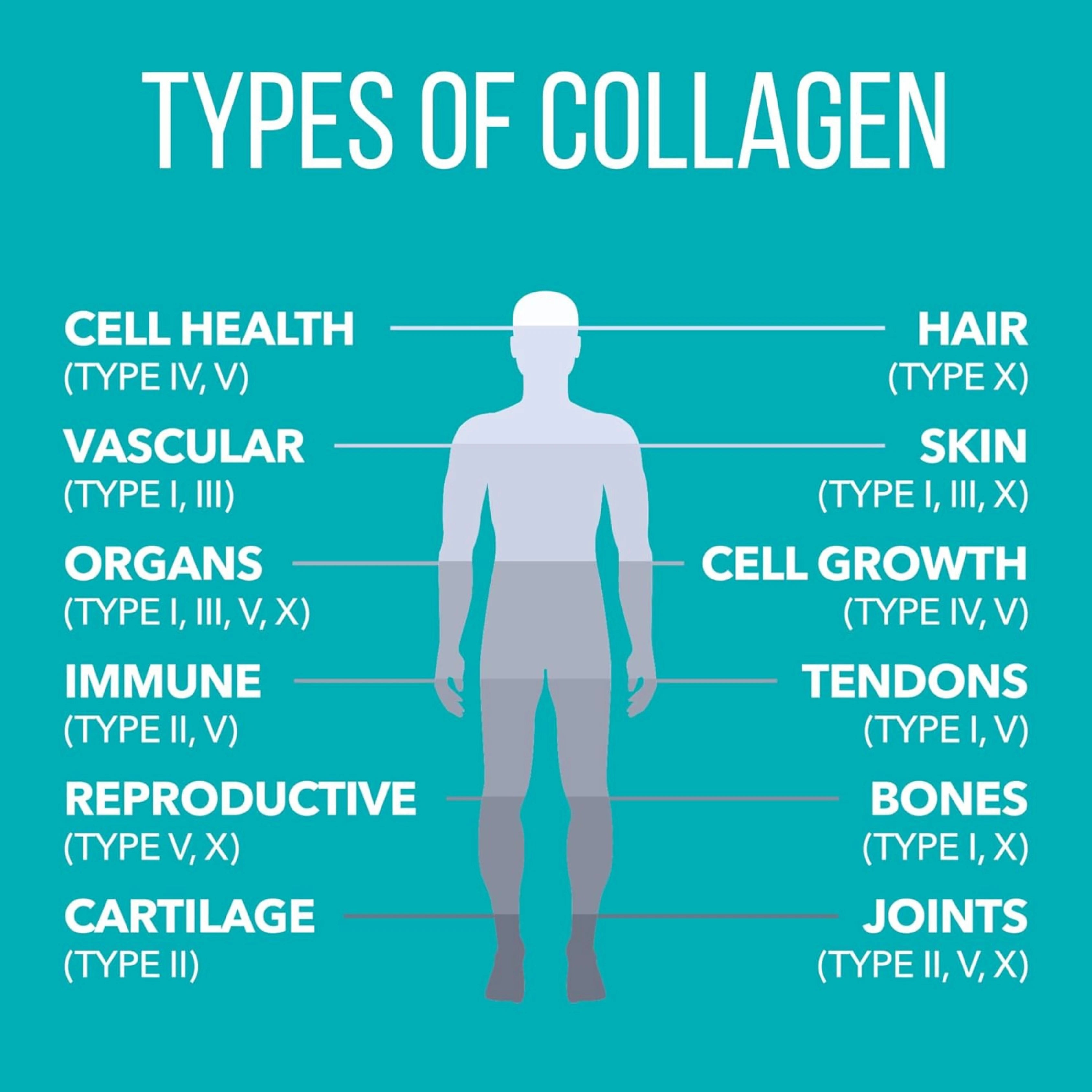 NaturesPlus, Collagen Peptides, 20 Stick Packets, 0.37 Oz