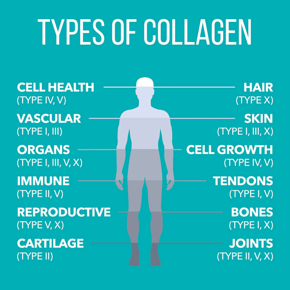 NaturesPlus, Collagen Peptides, 20 Stick Packets, 0.37 Oz