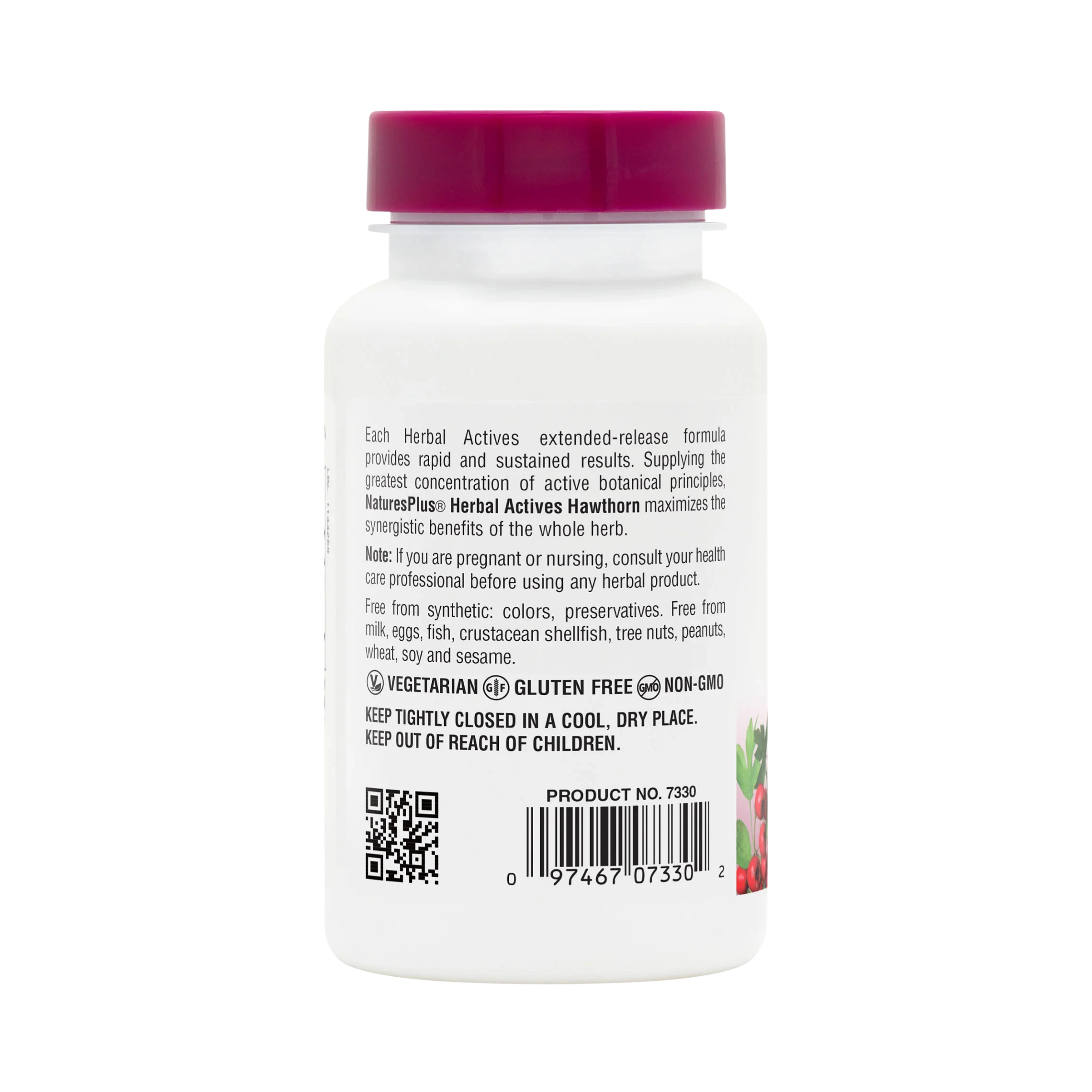 NaturesPlus, Hawthorne Extract, 300 Mg, Time Release, 30 Sustained Release Tablets