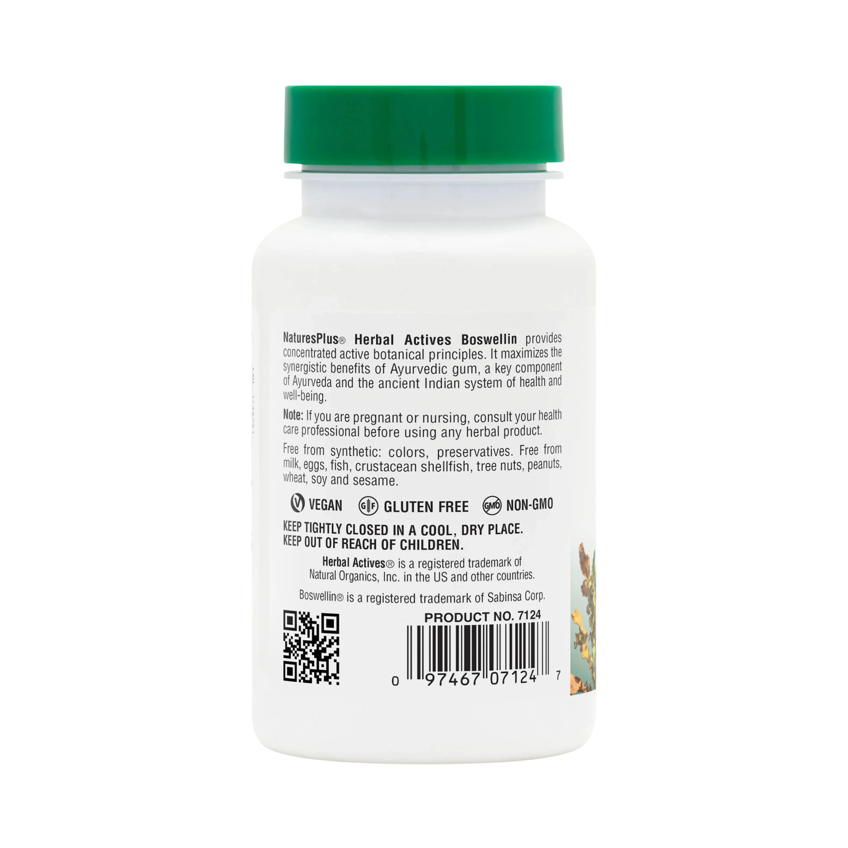 NaturesPlus, Herbal Actives, Boswellin, 300 Mg, 60 Capsules