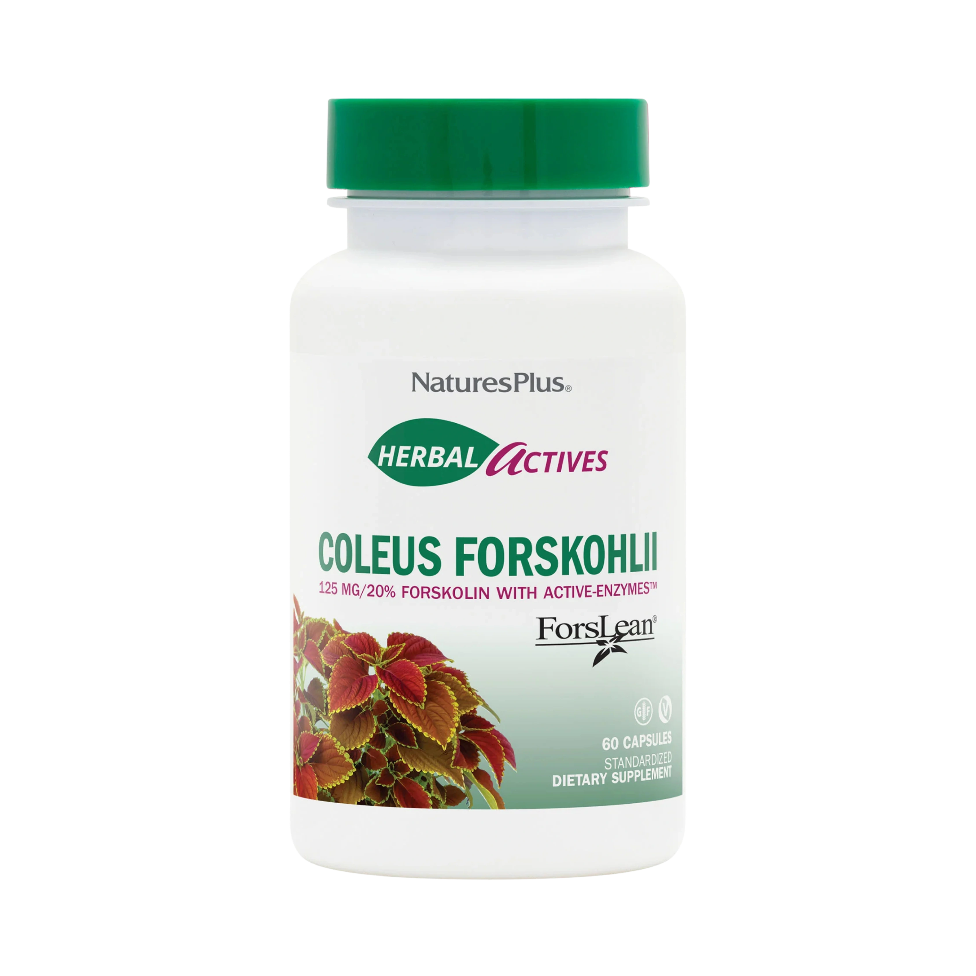 NaturesPlus, Herbal Actives Coleus Forskohlii, 60 Vegetarian Capsules