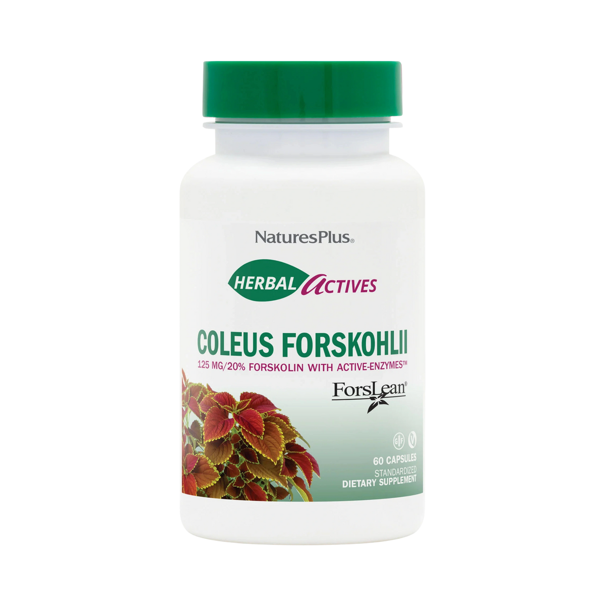 NaturesPlus, Herbal Actives Coleus Forskohlii, 60 Vegetarian Capsules