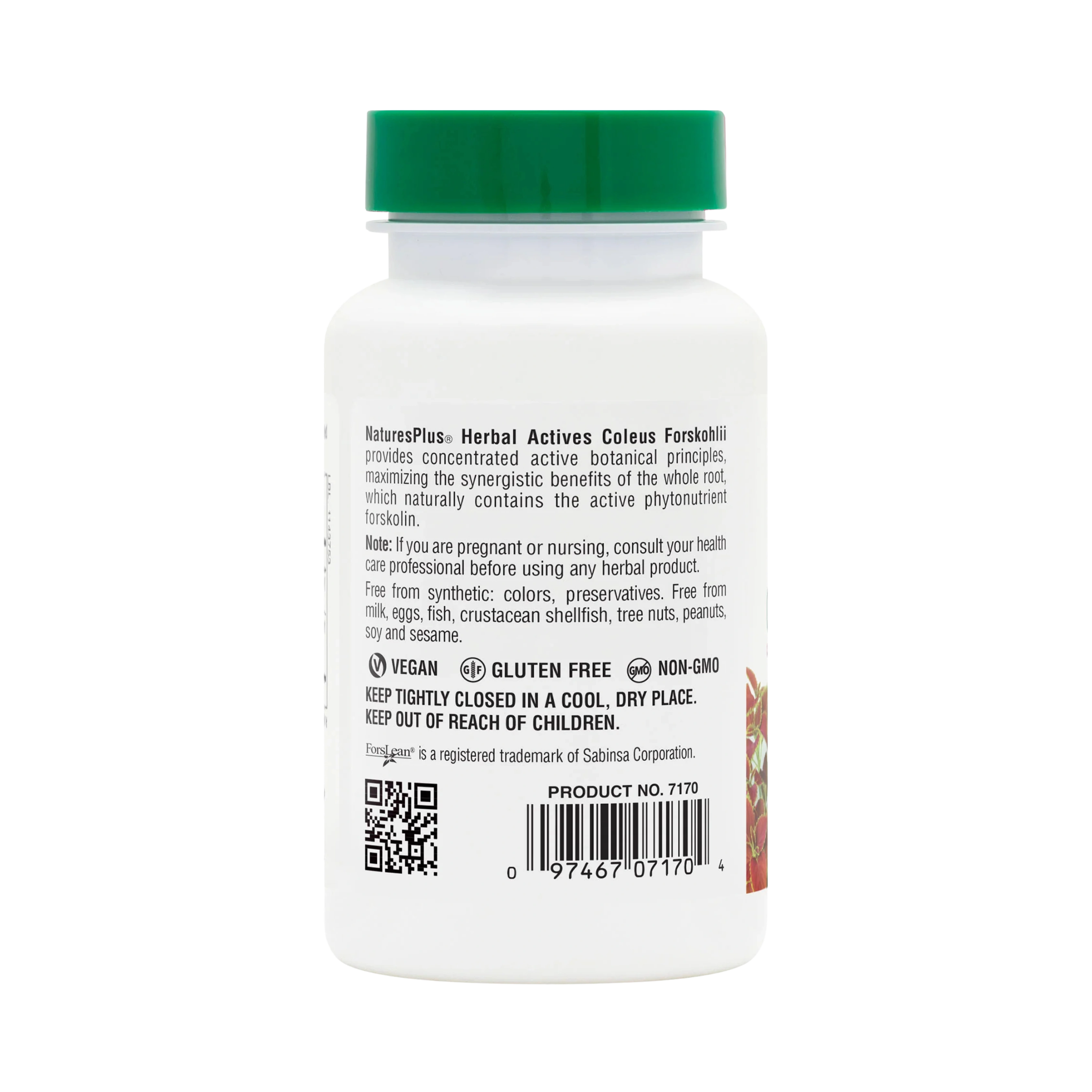 NaturesPlus, Herbal Actives Coleus Forskohlii, 60 Vegetarian Capsules