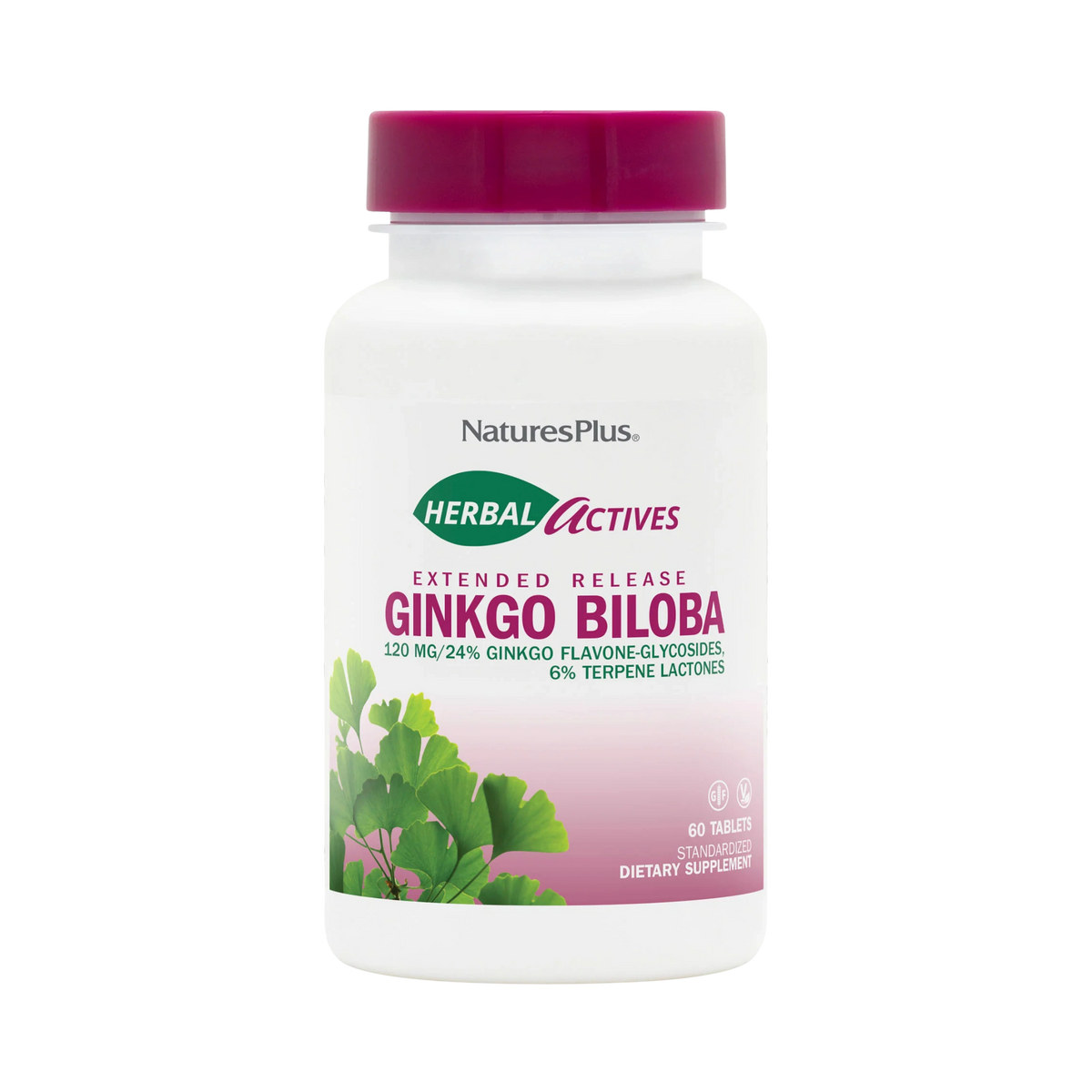 NaturesPlus, Herbal Actives Ginkgo Biloba, Extended Release, 120 Mg, 60 Vegan Tablets