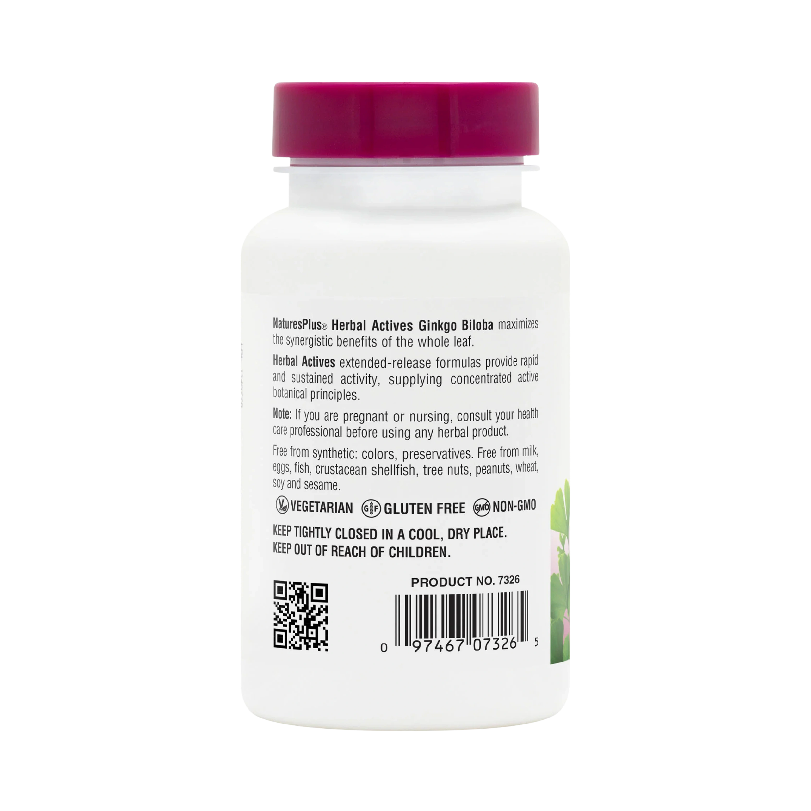 NaturesPlus, Herbal Actives Ginkgo Biloba, Extended Release, 120 Mg, 60 Vegan Tablets