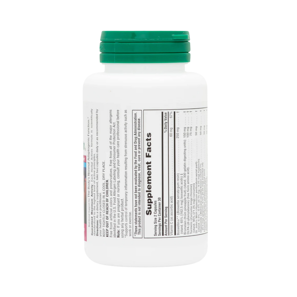 NaturesPlus, Herbal Actives, InflamActin, 60 Vegan Capsules