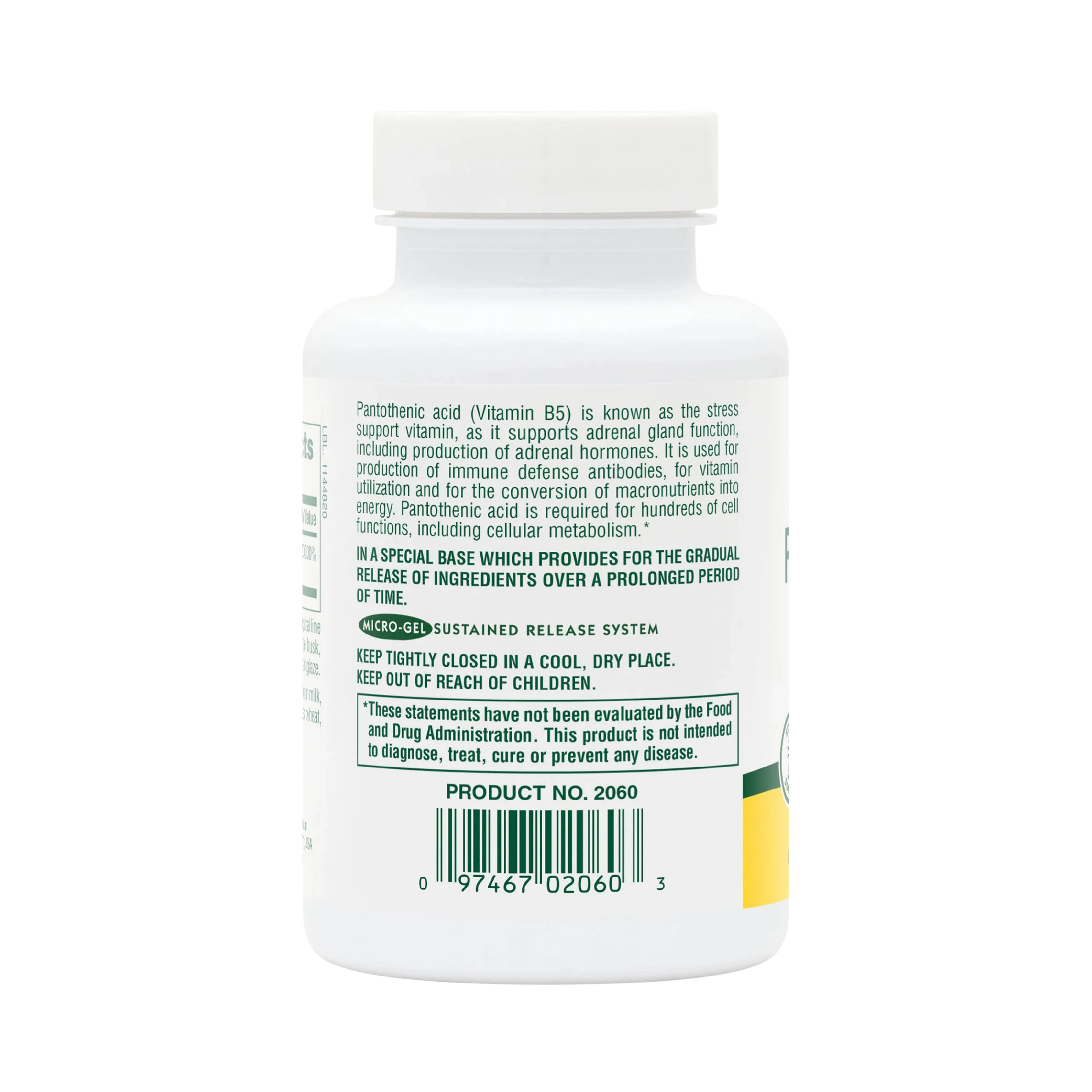 NaturesPlus, Pantothenic Acid, 1,000 Mg, 60 Tablets