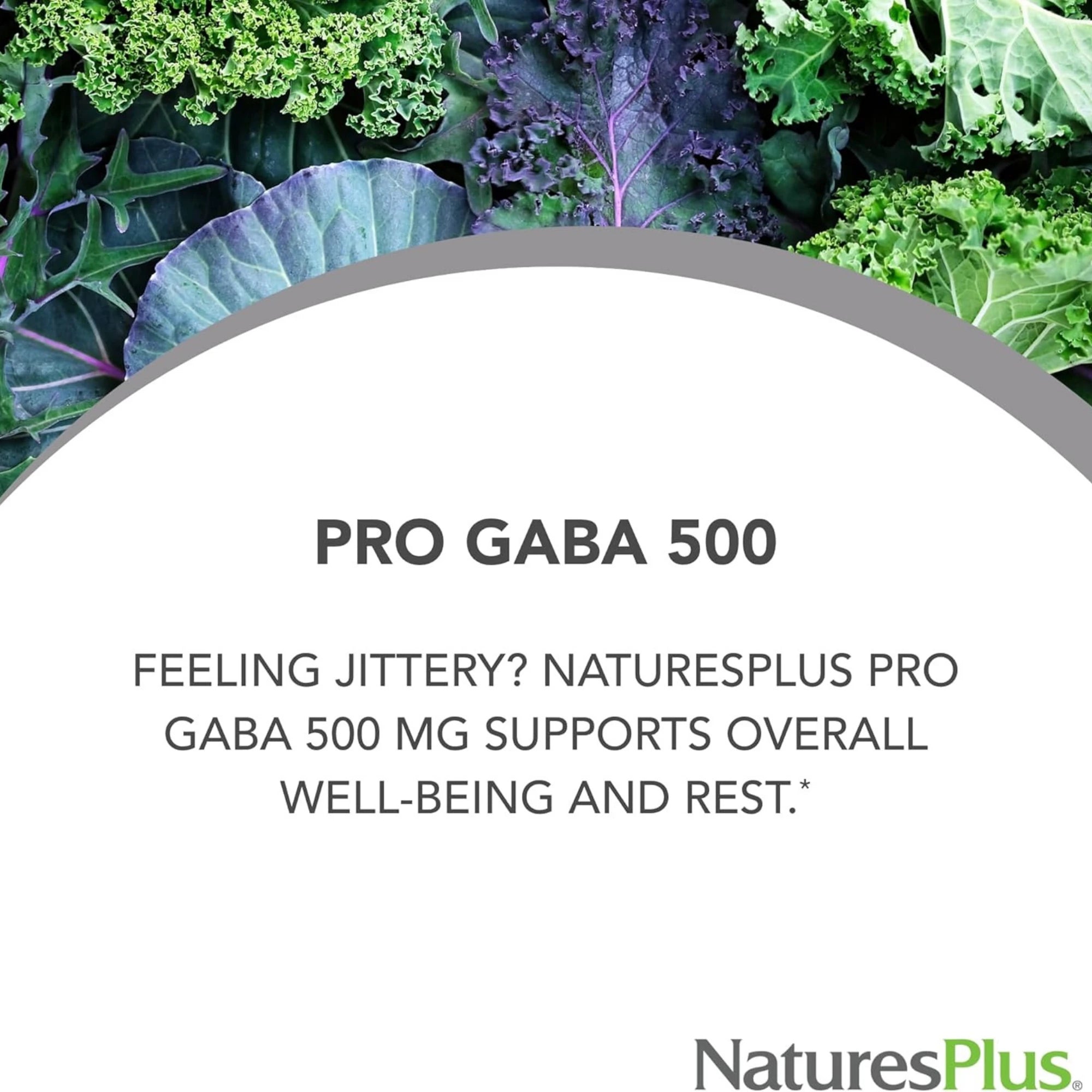 NaturesPlus, PRO GABA 500, 60 Capsules