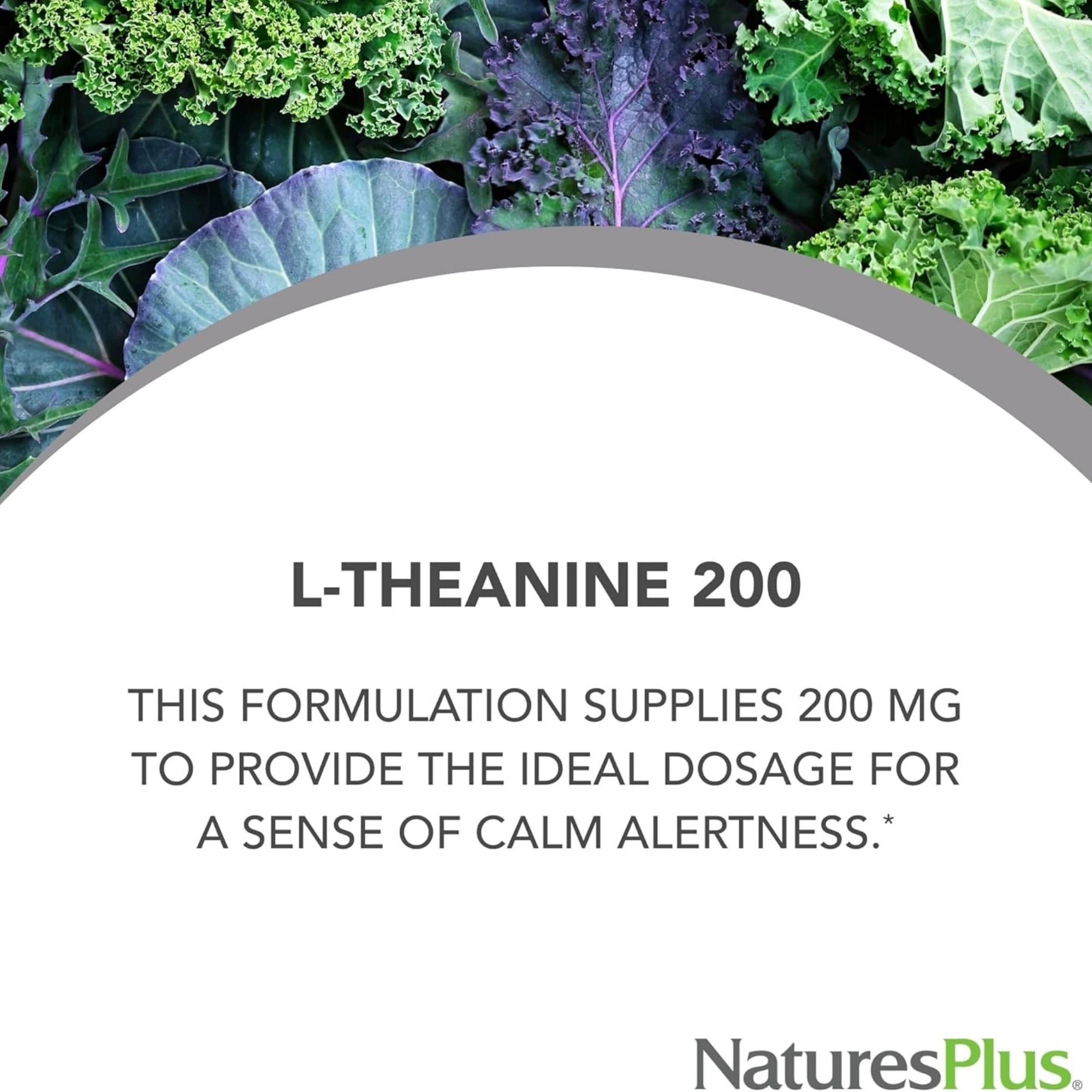 NaturesPlus, Pro L-Theanine 200, 60 Capsules