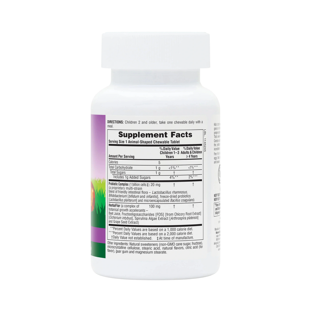 NaturesPlus, Source of Life, Animal Parade, AcidophiKidz, Children's Chewable, Berry, 90 Animal-Shaped Tablets