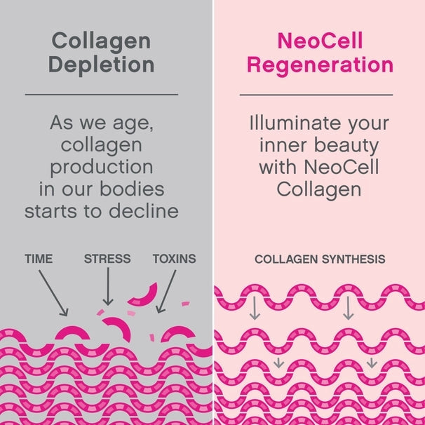 Neocell, Super Collagen Plus with Vitamin C & Hyaluronic Acid Powder, 6.9 OZ