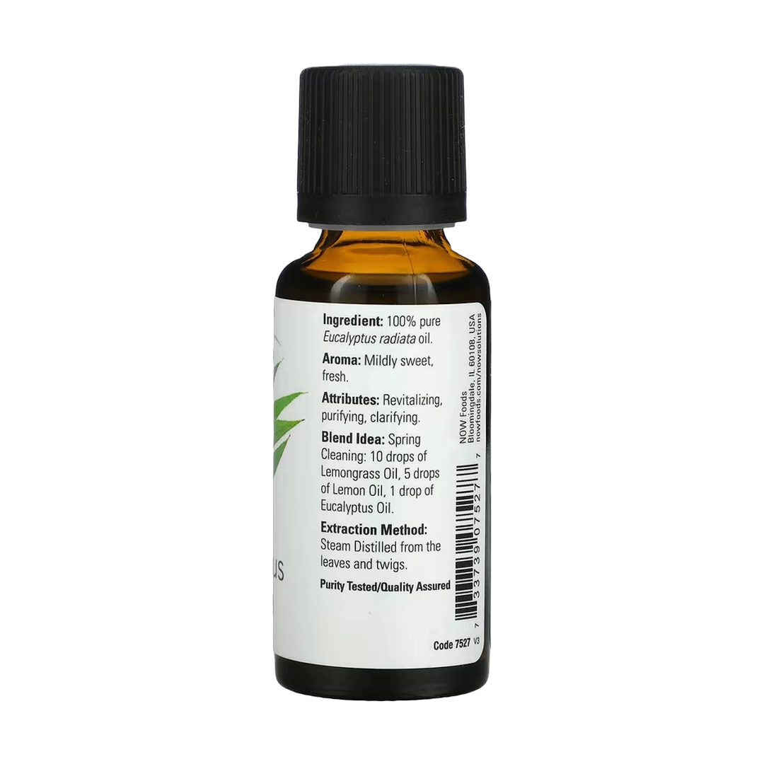 NOW Foods, Essential Oils, Eucalyptus Radiata, 1 fl oz, 30 ml