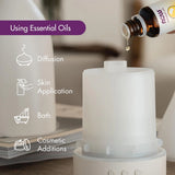 NOW Foods, Essential Oils, Oregano, 2 fl oz, 59 ml