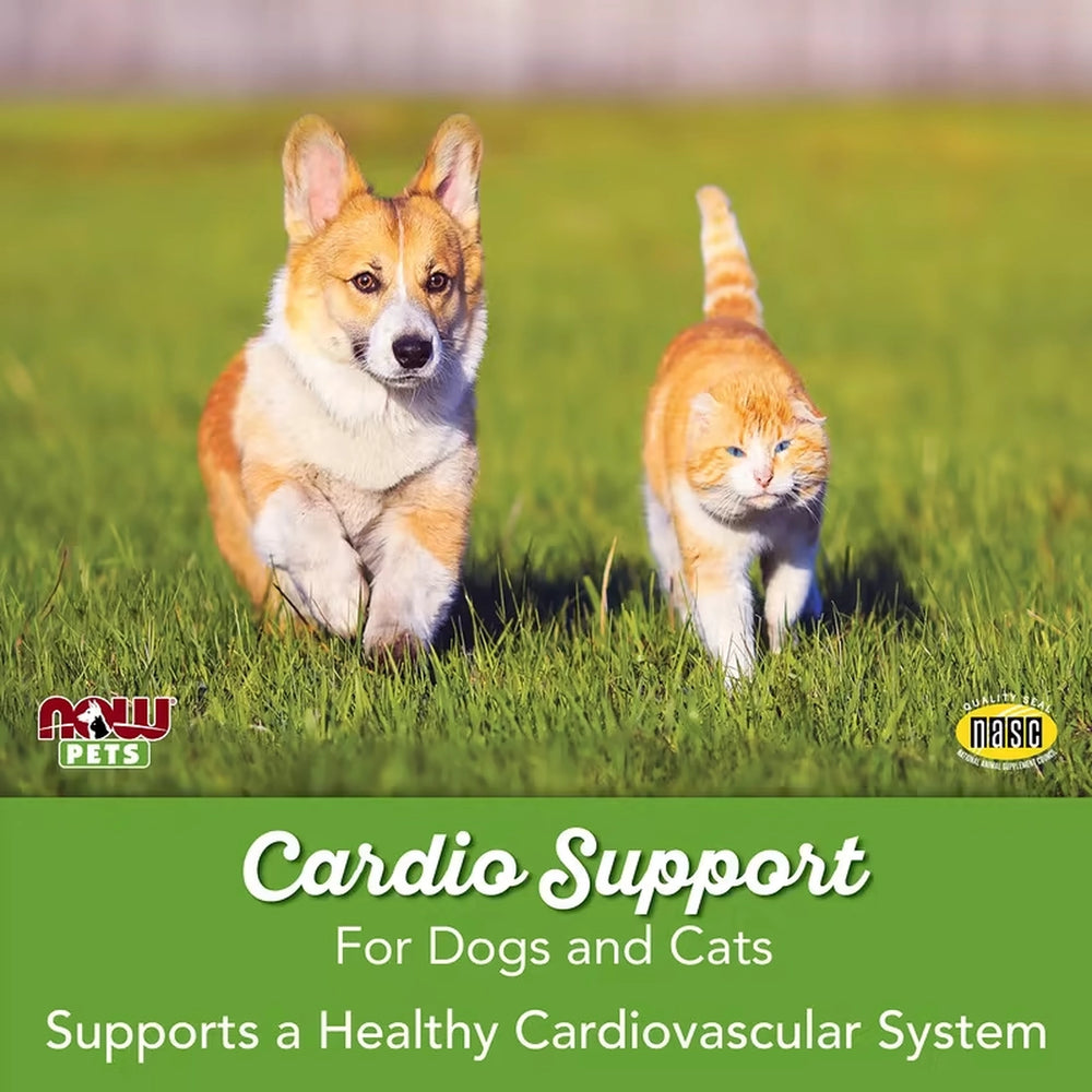 NOW Foods, Pets, Cardiovascular Support for Dogs/Cats, 4.5 oz, 127 g