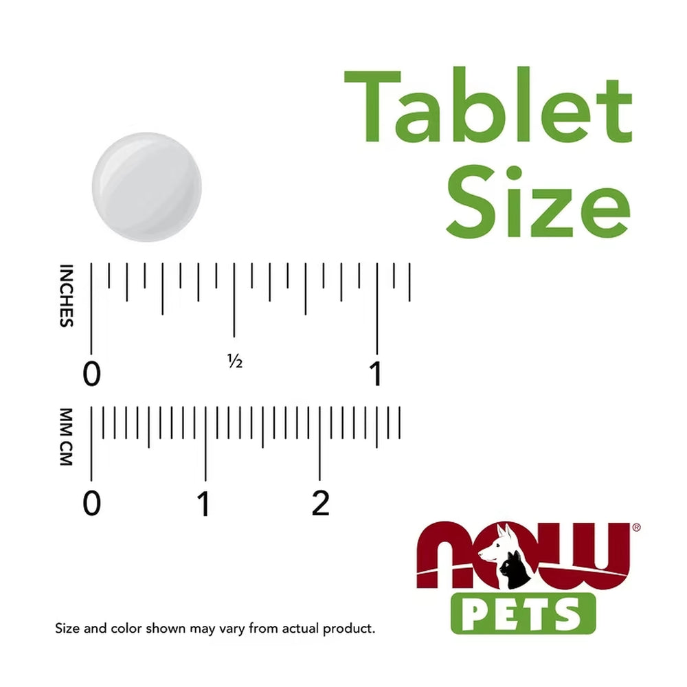 NOW Foods, Pets, GI Support, For Dogs/Cats, 90 Chewable Tablets, 1.08 oz, 30.6 g