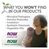 NOW Foods, Solutions, USB Oil Diffuser, 1 Diffuser