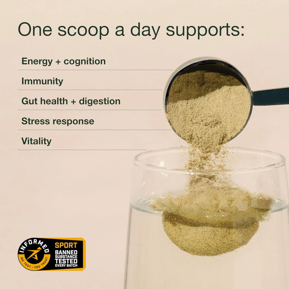 Nuzest, Greens Powder Good Green Vitality, Vegan Multivitamin Supplement, 300 Gm