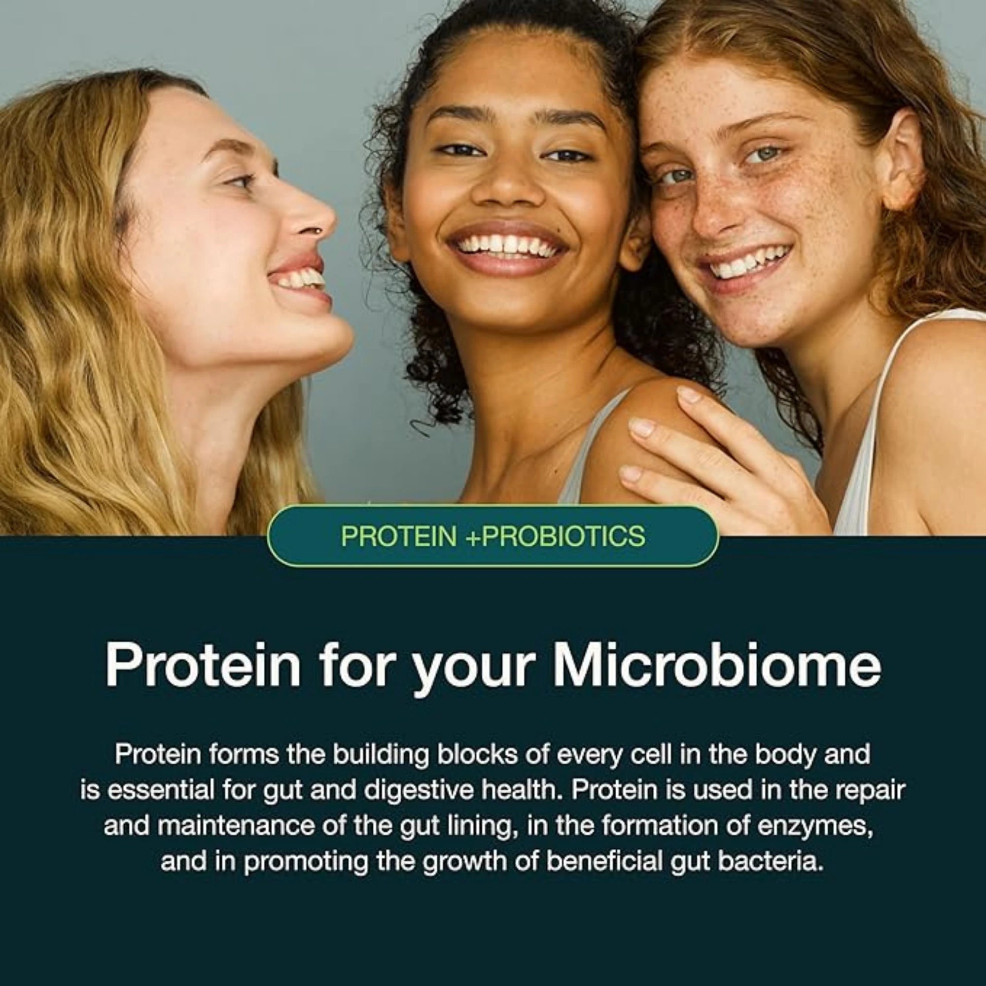 Nuzest, Protein + Probiotics, Rich Chocolate, 10.6 Oz