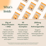 Om Mushrooms, Master Blend, Plant Protein, Creamy Chocolate, 10 Packets , 34 g Each