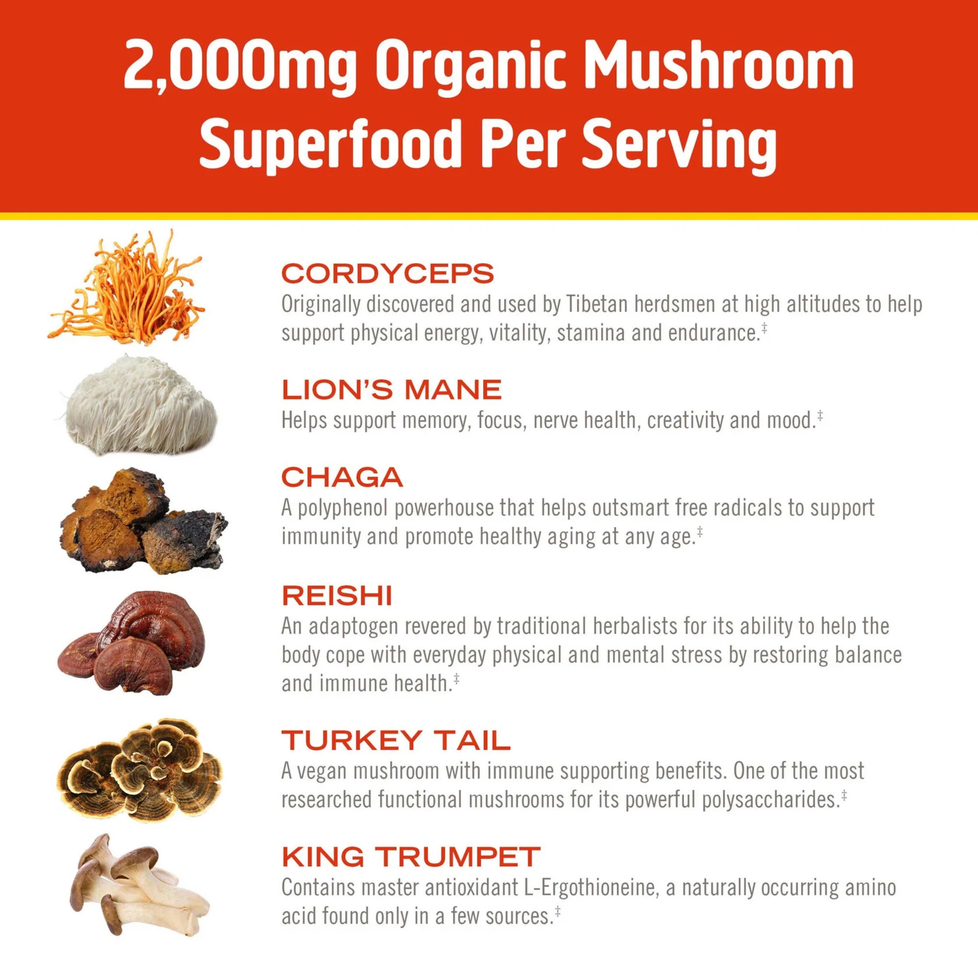 Om Mushrooms, Mushroom Morning Blend, 8.47 Oz, 240 g