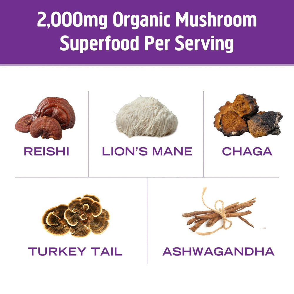 Om Mushrooms, Superfood Mushroom Blend, Hot Chocolate, 8.47 oz, 240 g