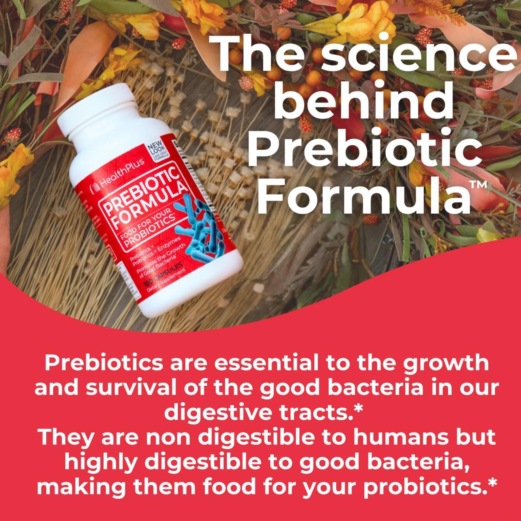 Health Plus, Prebiotic Formula, 180 Capsules