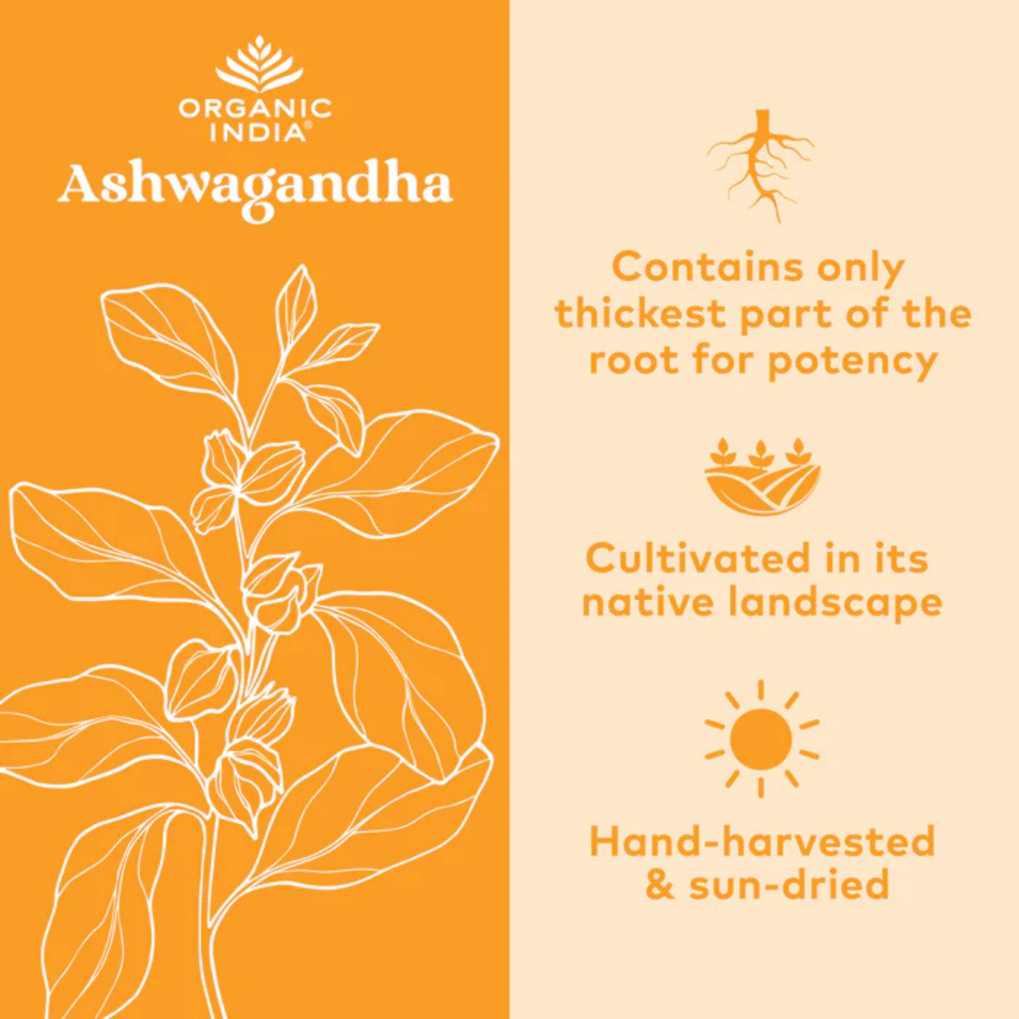 Organic India, Ashwagandha, 800 Mg, 90 Vegetarian Caps