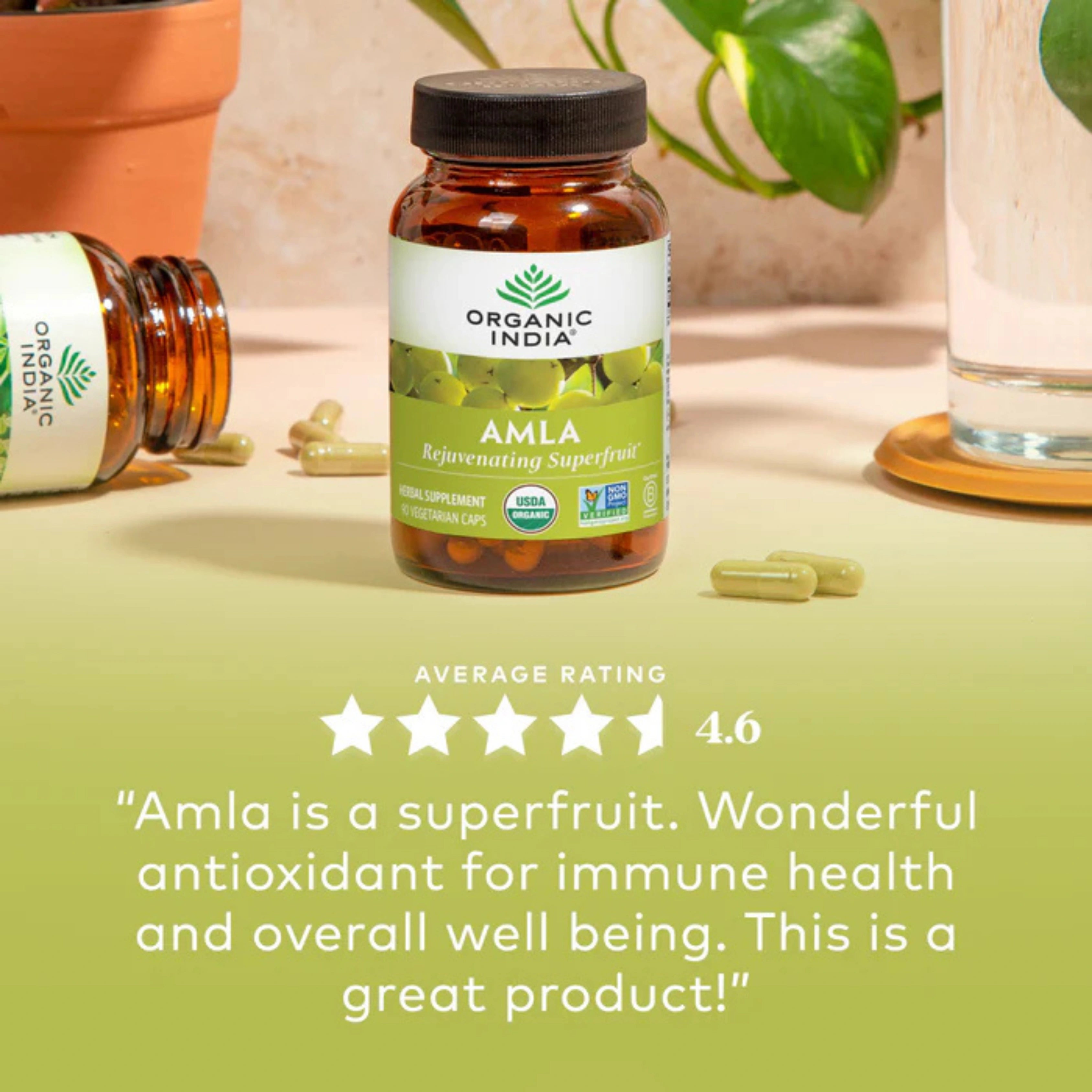 Organic India, Amla, 1,000 Mg, 90 Vegetarian Cap