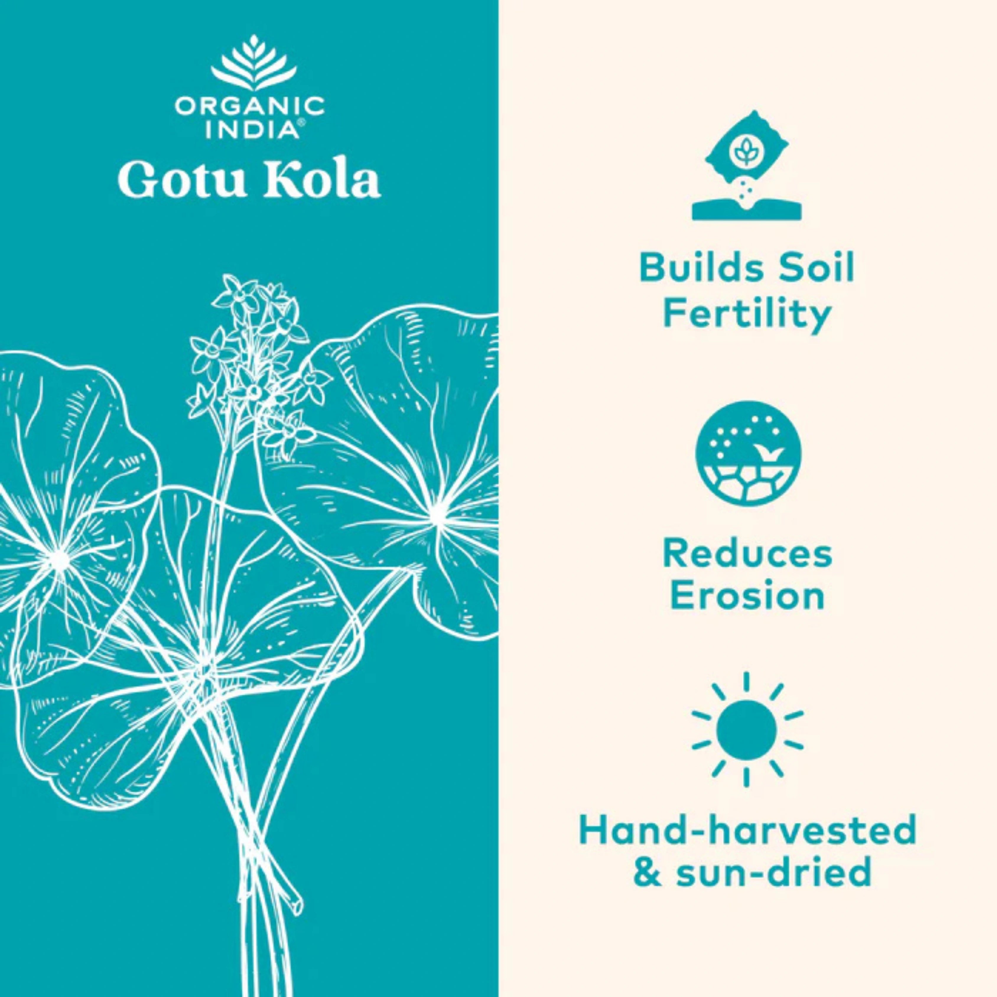 Organic India, Gotu Kola, 700 Mg, 90 Vegetarian Caps