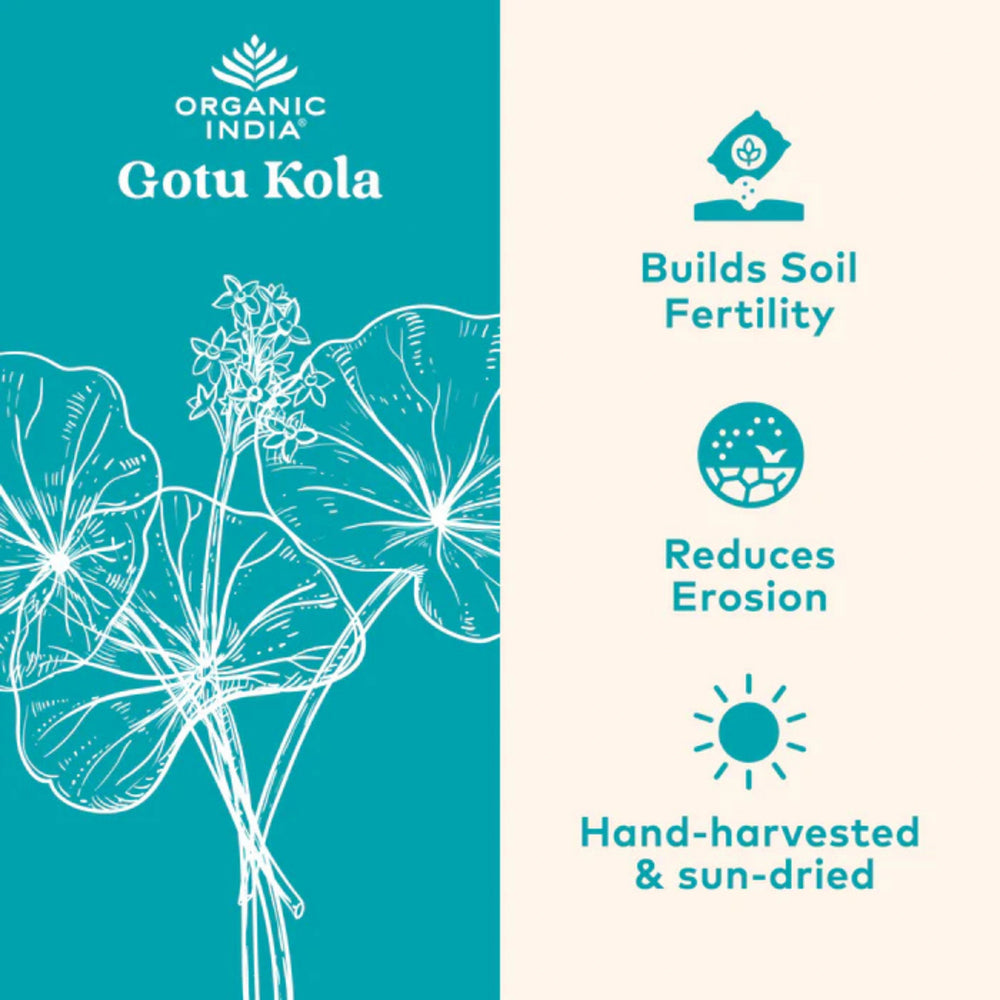 Organic India, Gotu Kola, 700 Mg, 90 Vegetarian Caps