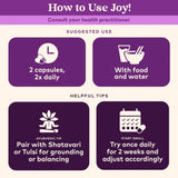 Organic India, Joy Elevates Mood, 90 Vegetarian Caps