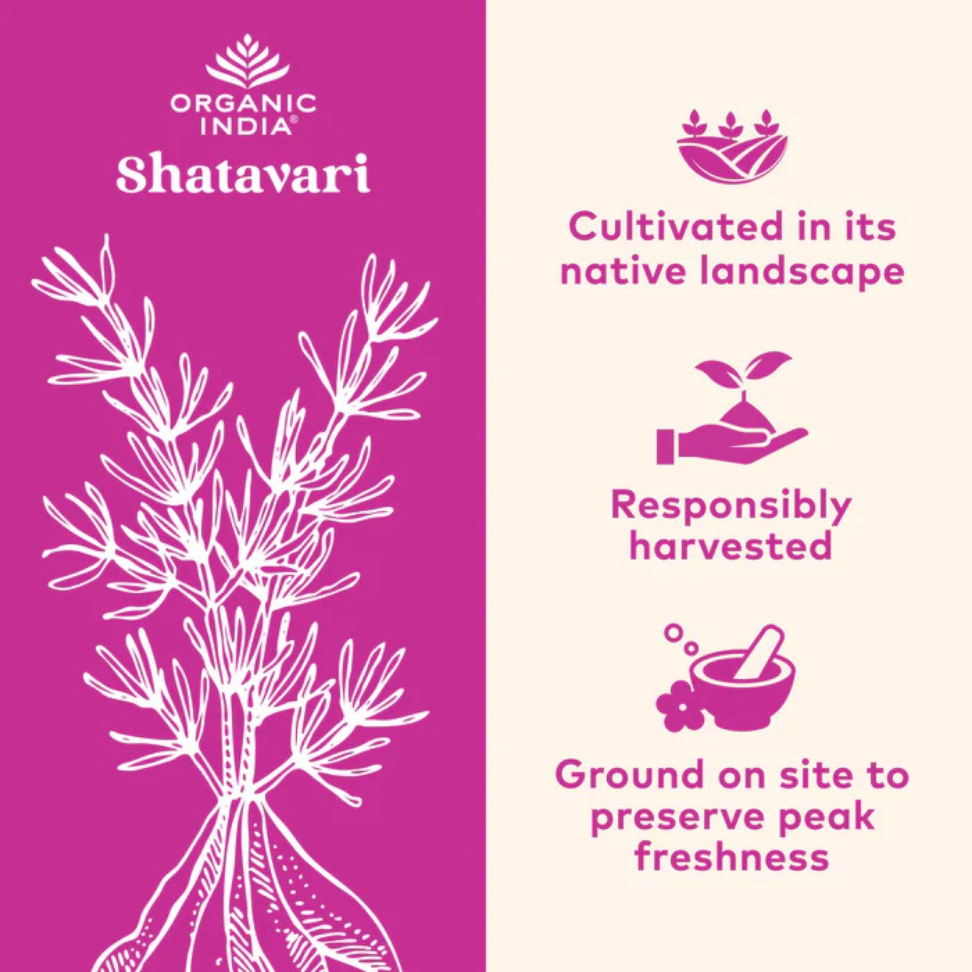 Organic India, Shatavari, 800 Mg, 90 Vegetarian Caps