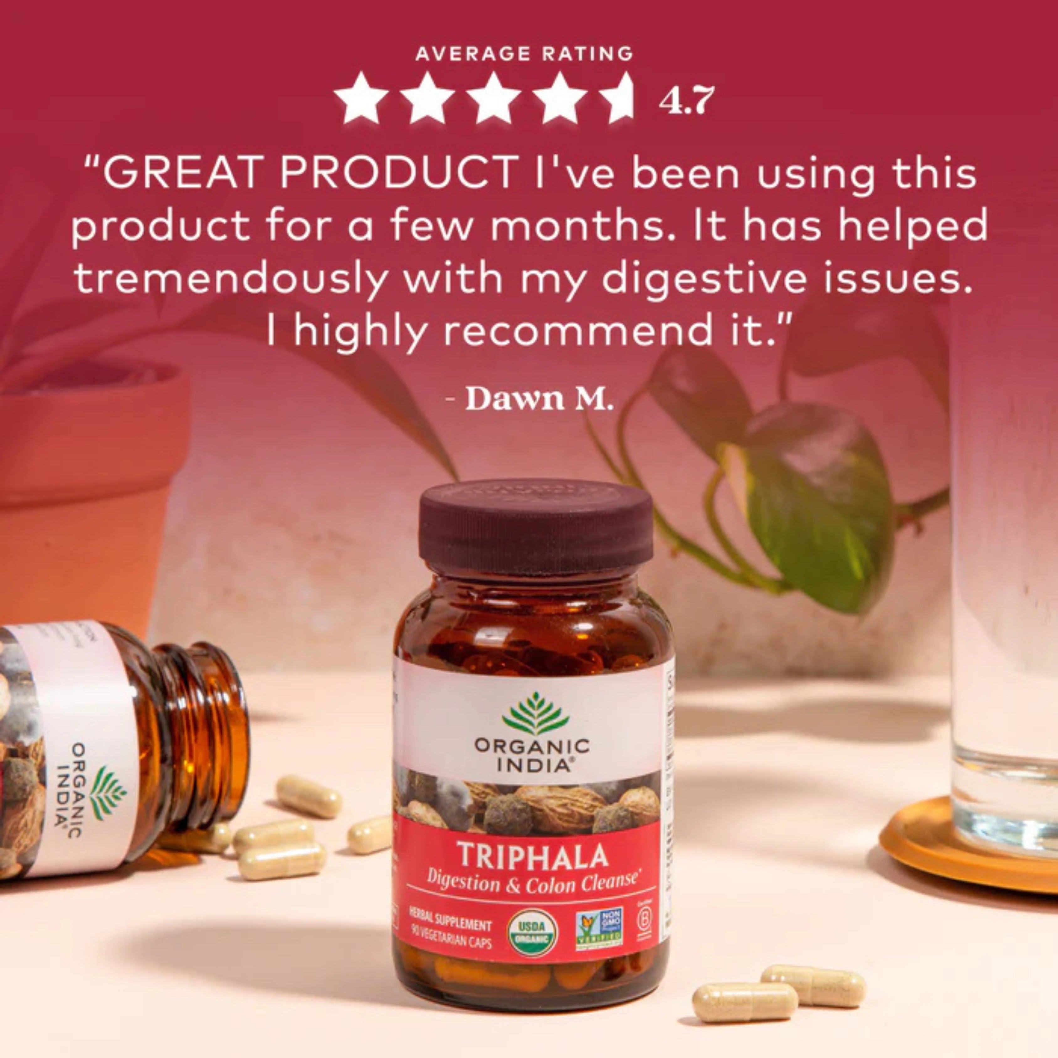 Organic India, Triphala, 90 Vegetarian Caps