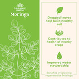 Organic India, Moringa, 700 Mg, 90 Vegetarian Caps