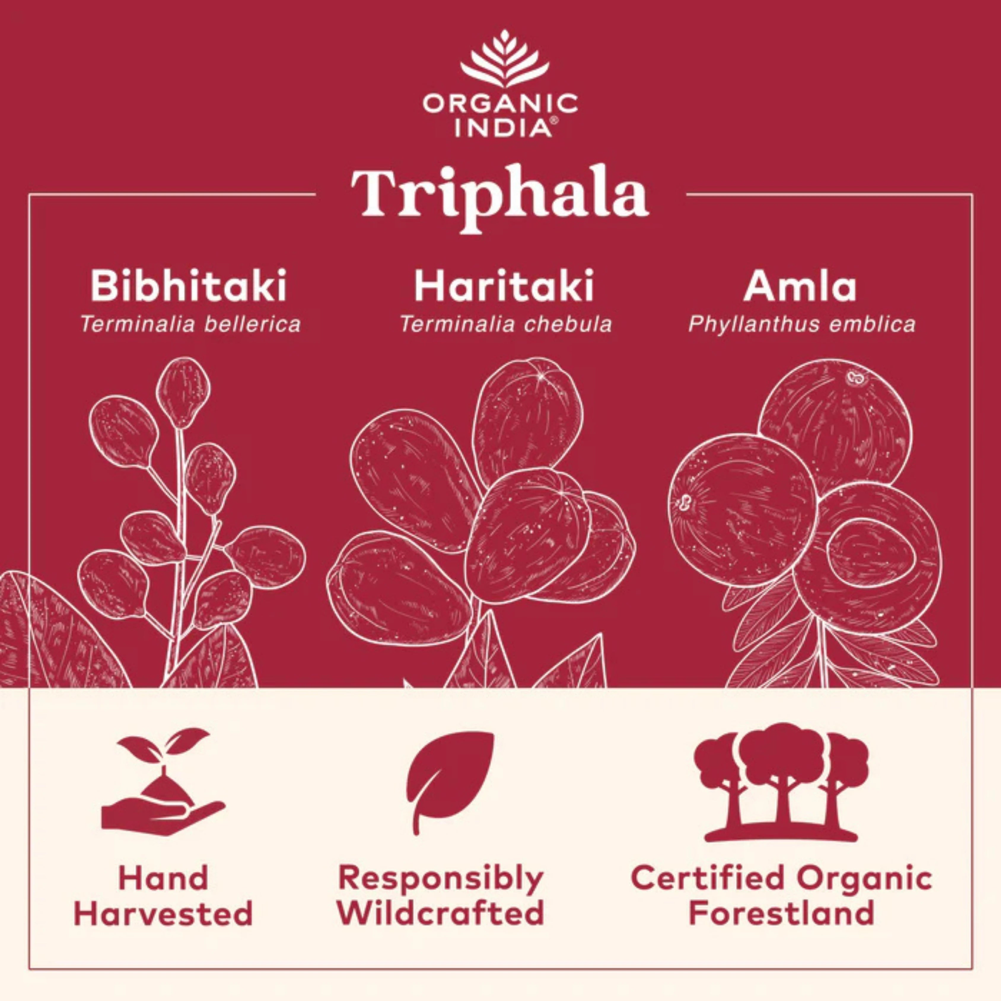 Organic India, Triphala, 180 Vegetarian Caps