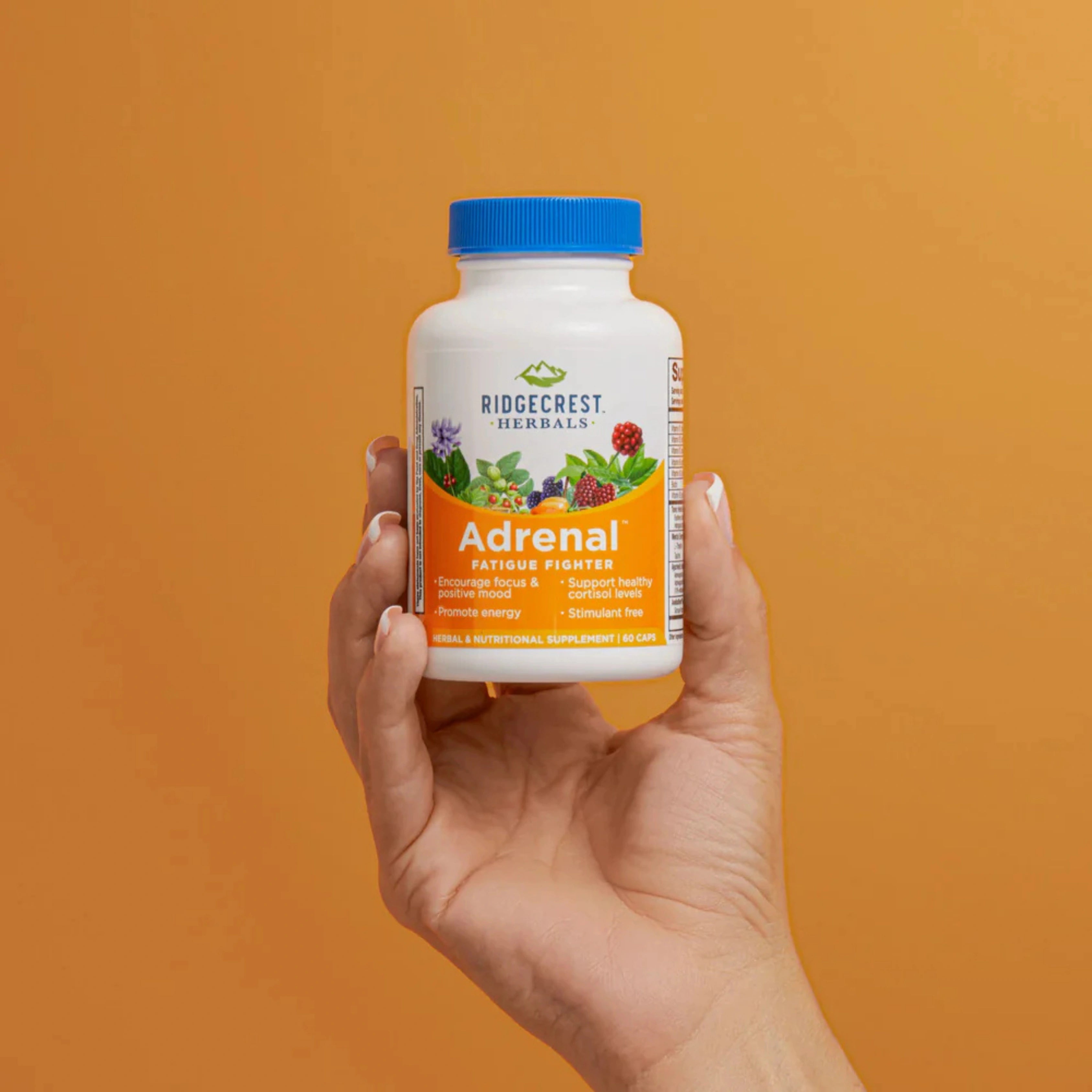 Ridgecrest Herbals, AdrenaLove, 60 Capsules