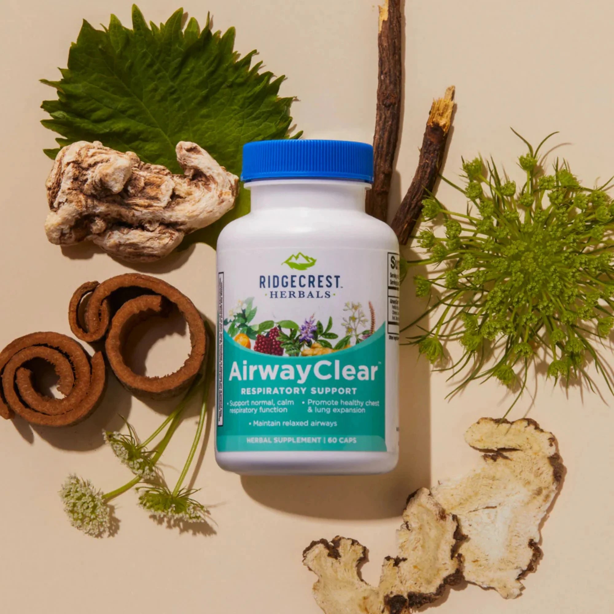 Ridgecrest Herbals, AirwayClear, 60 Capsules