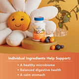 Ridgecrest Herbals, Belly Be Happy, 60 Capsules