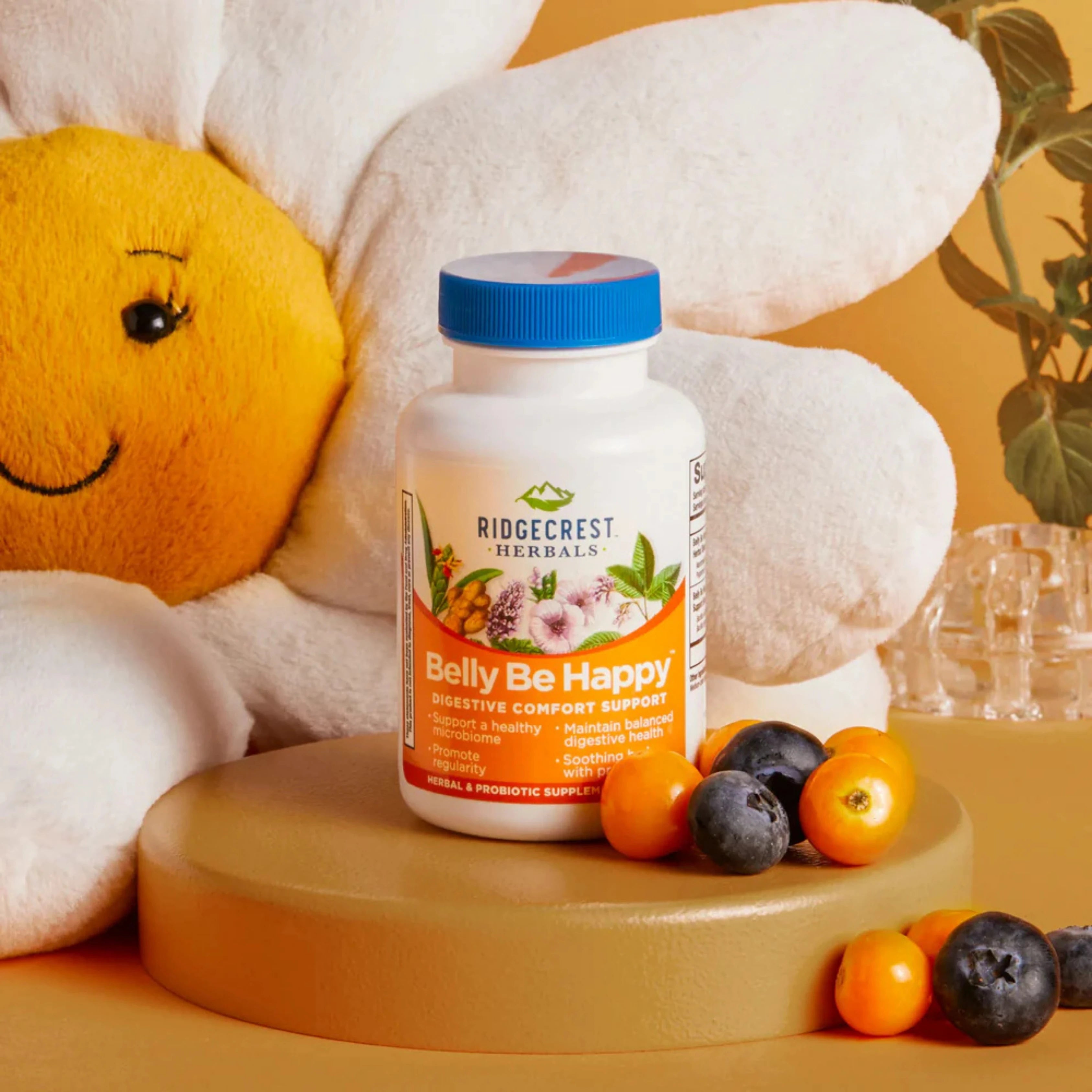 Ridgecrest Herbals, Belly Be Happy, 60 Capsules