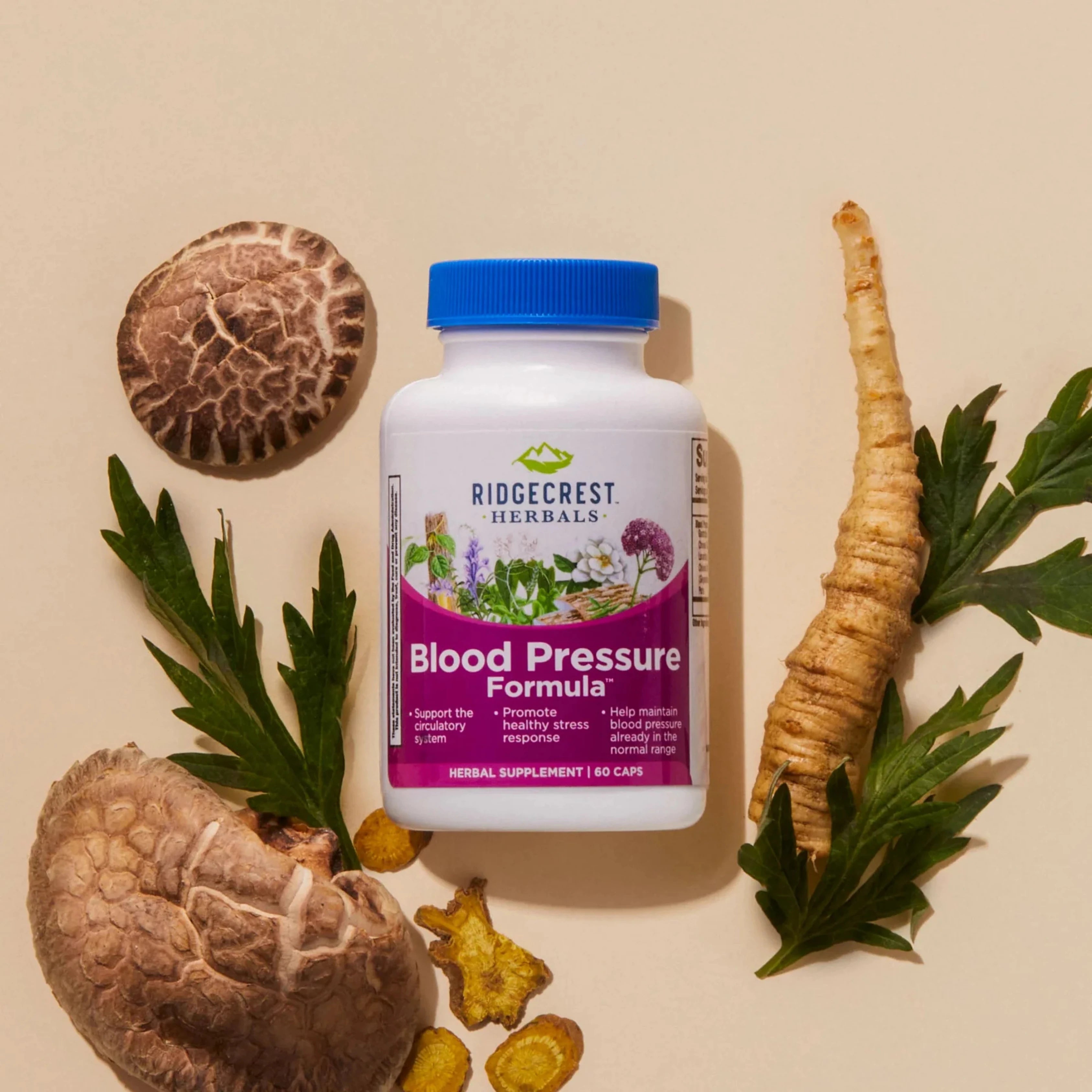 Ridgecrest Herbals, Blood Pressure Formula, 120 Capsules