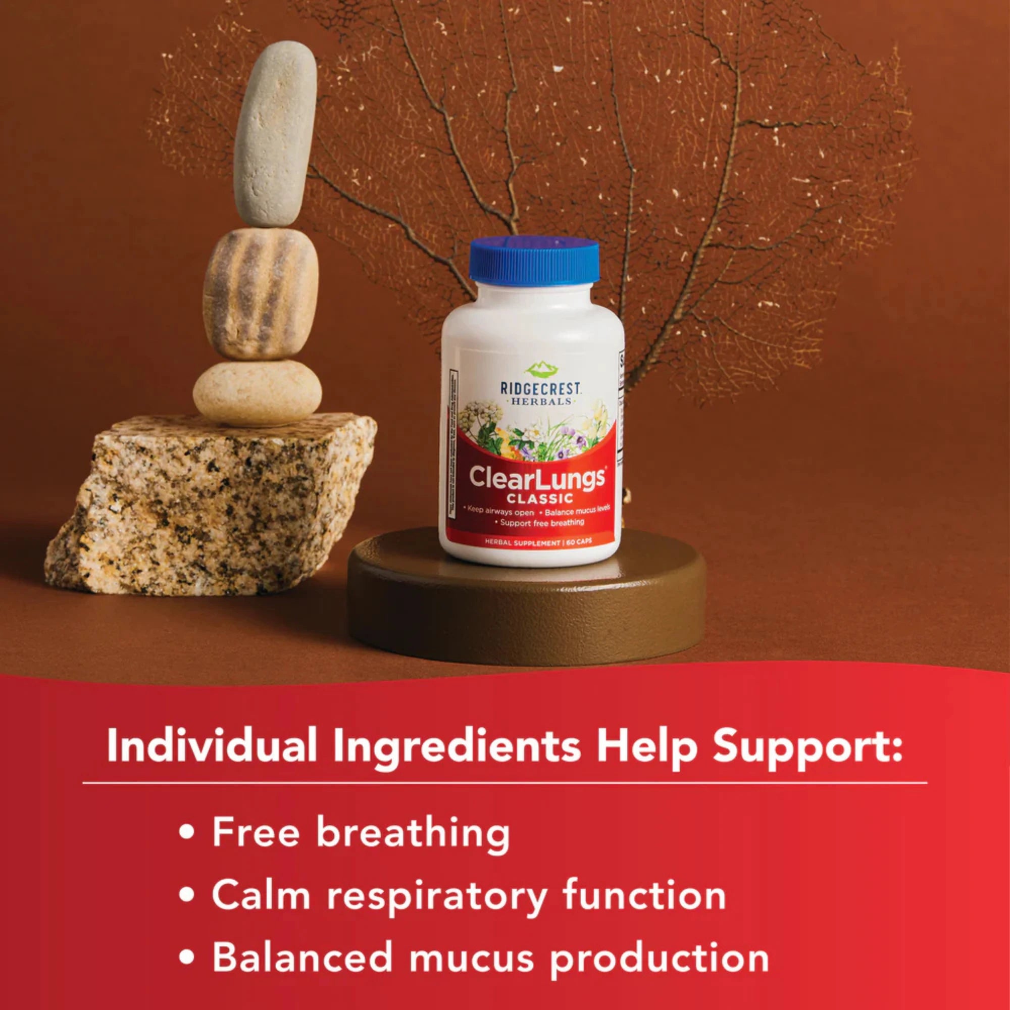 Ridgecrest Herbals, ClearLungs Classic, 60 Capsules