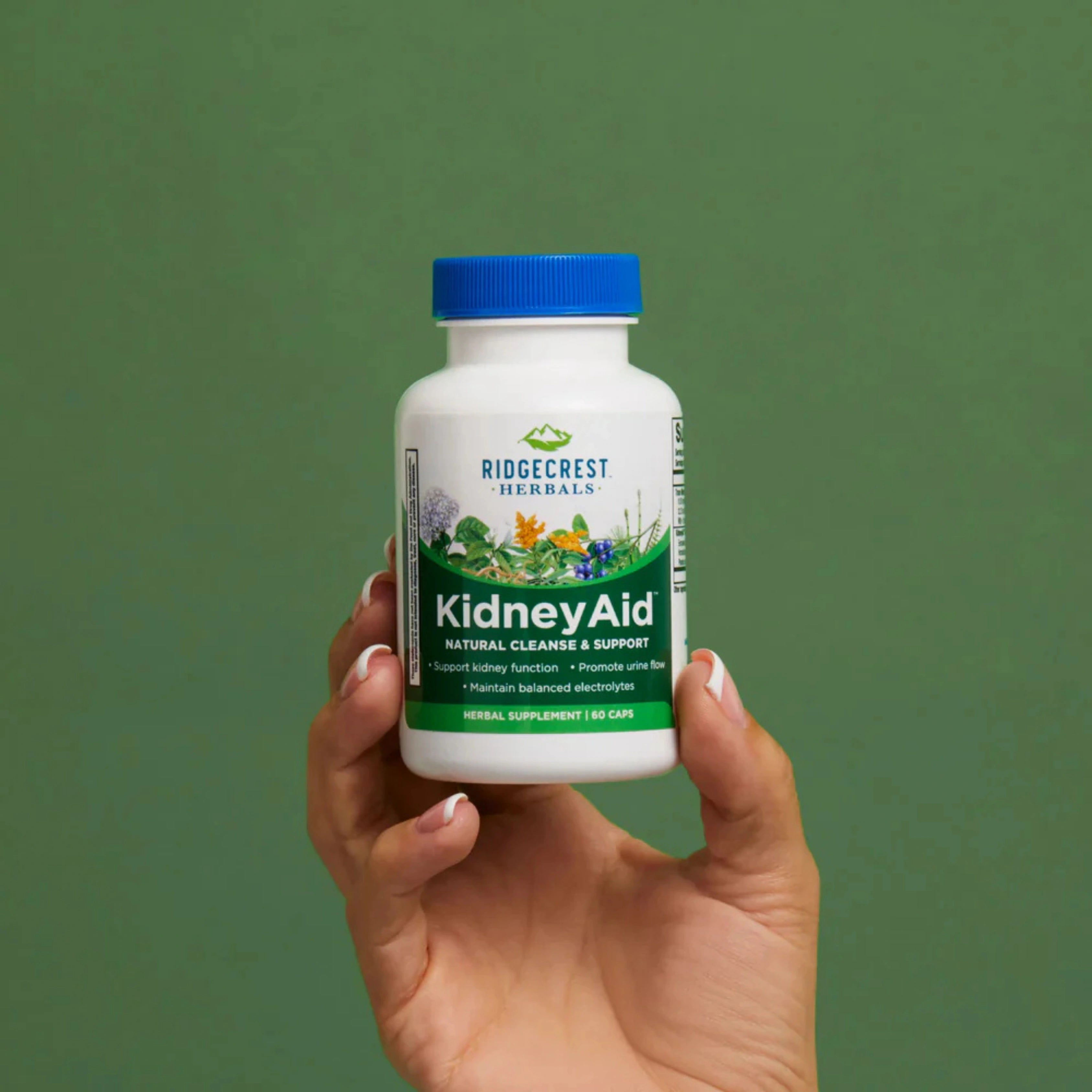 Ridgecrest Herbals, KidneyAid, 60 Capsules