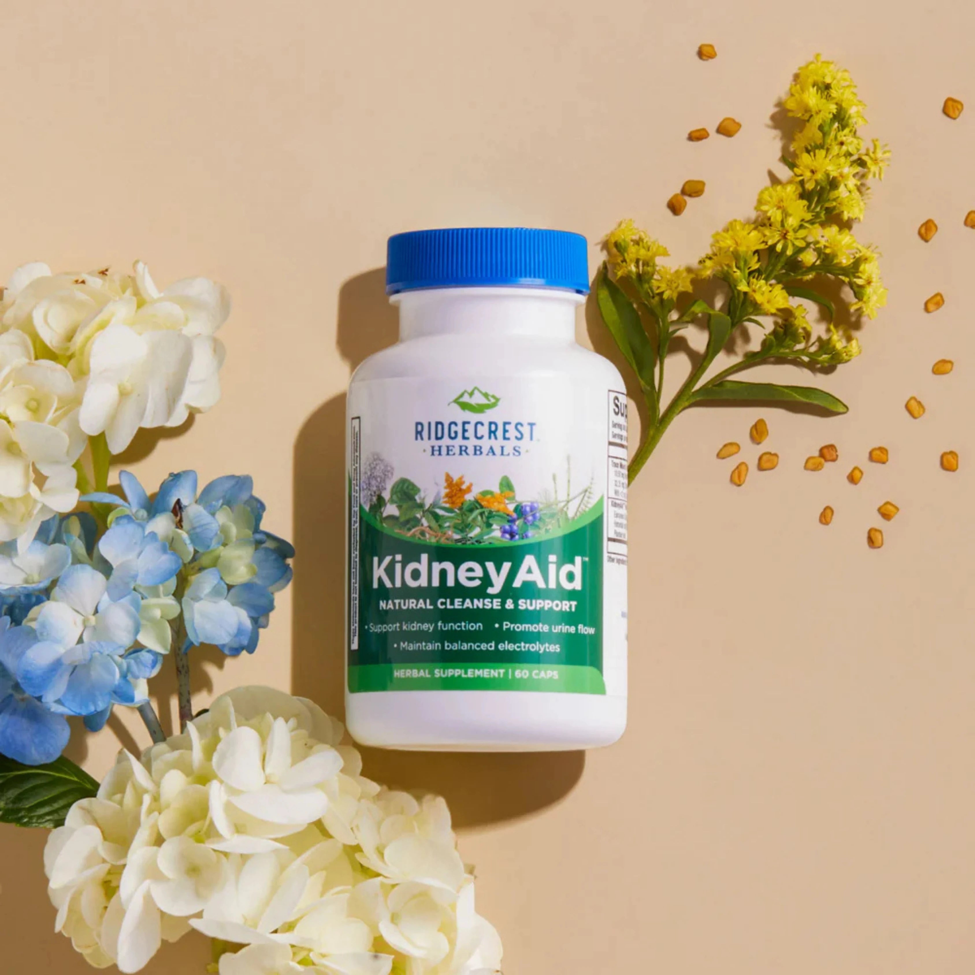 Ridgecrest Herbals, KidneyAid, 60 Capsules