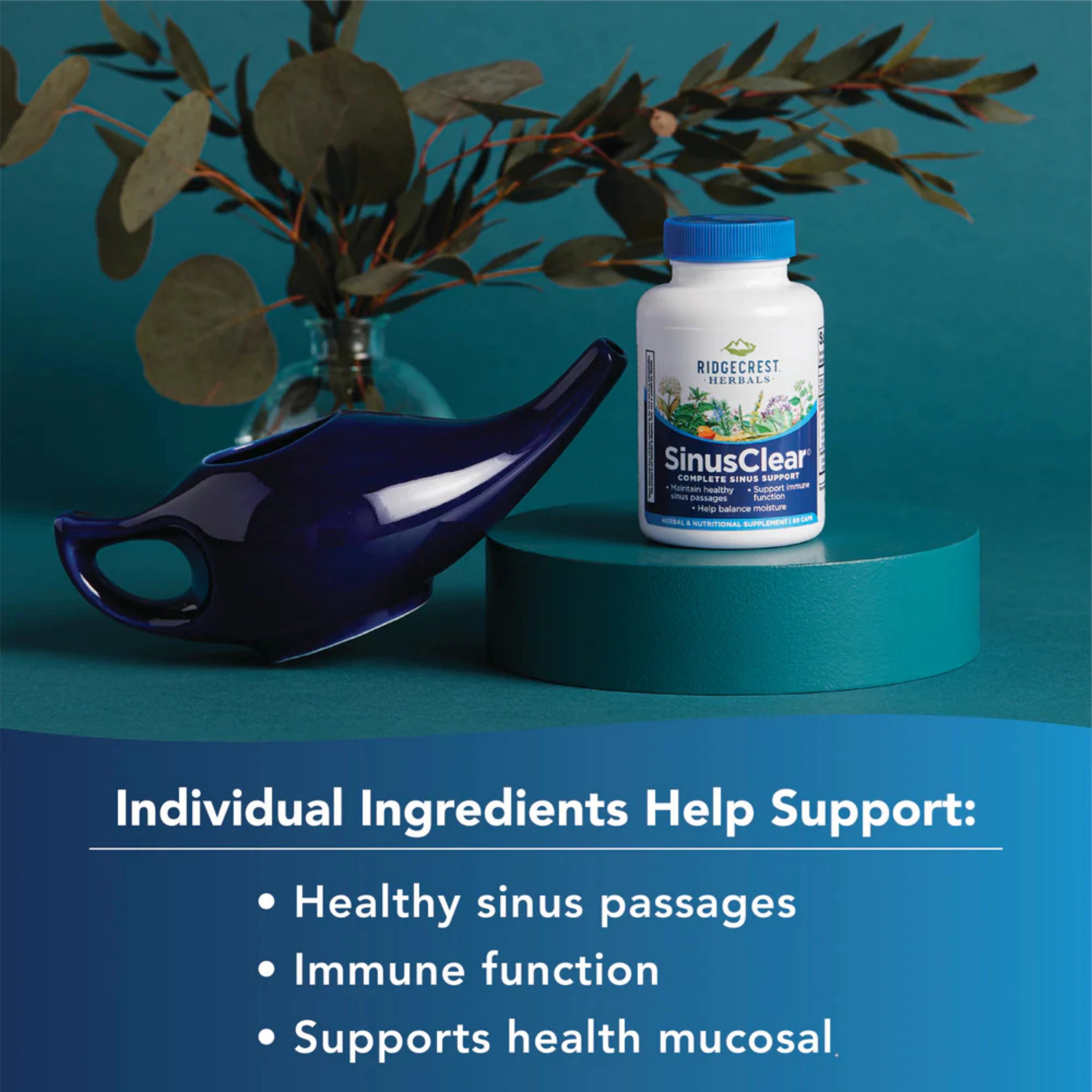 Ridgecrest Herbals, SinusClear, 60 Capsules