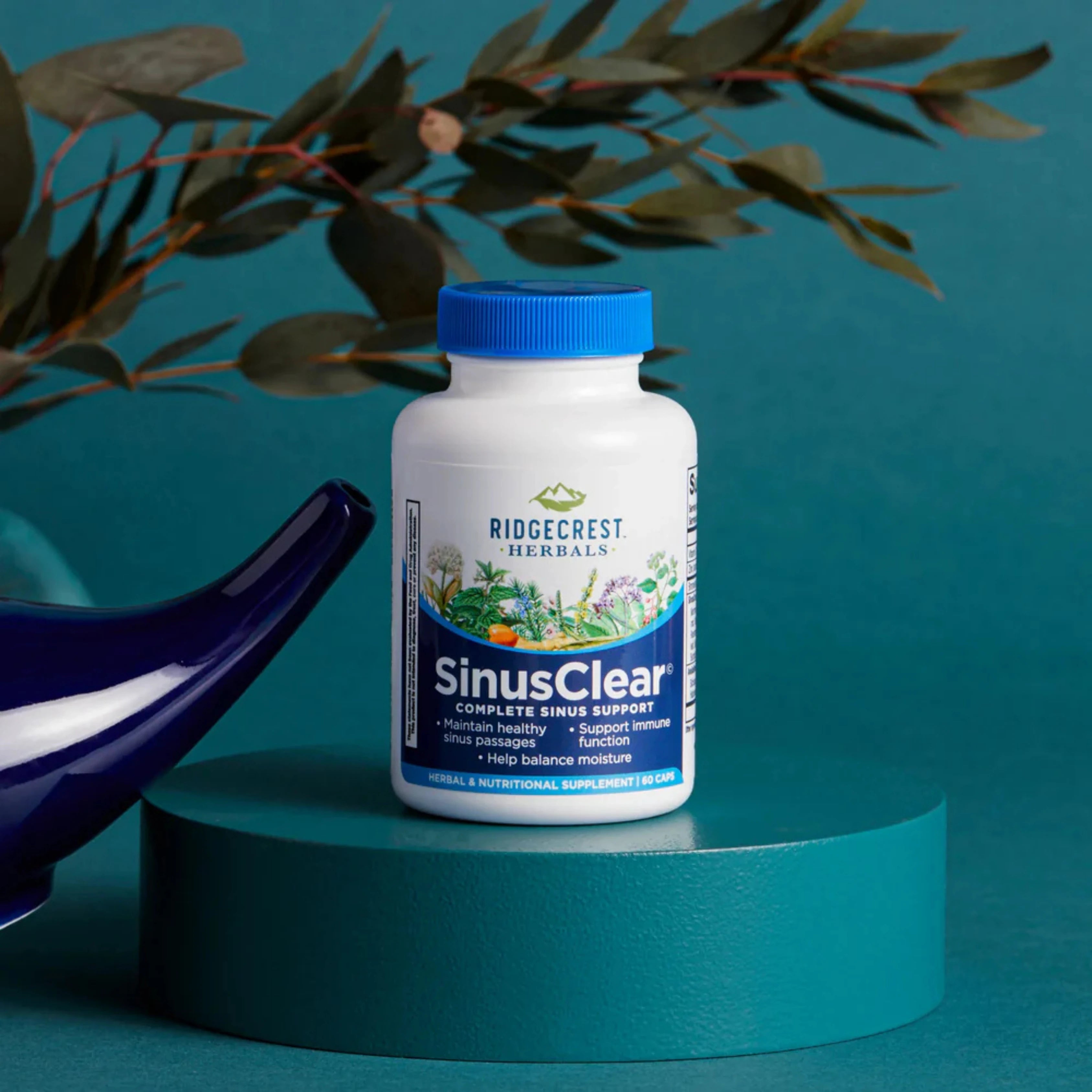 Ridgecrest Herbals, SinusClear, 60 Capsules