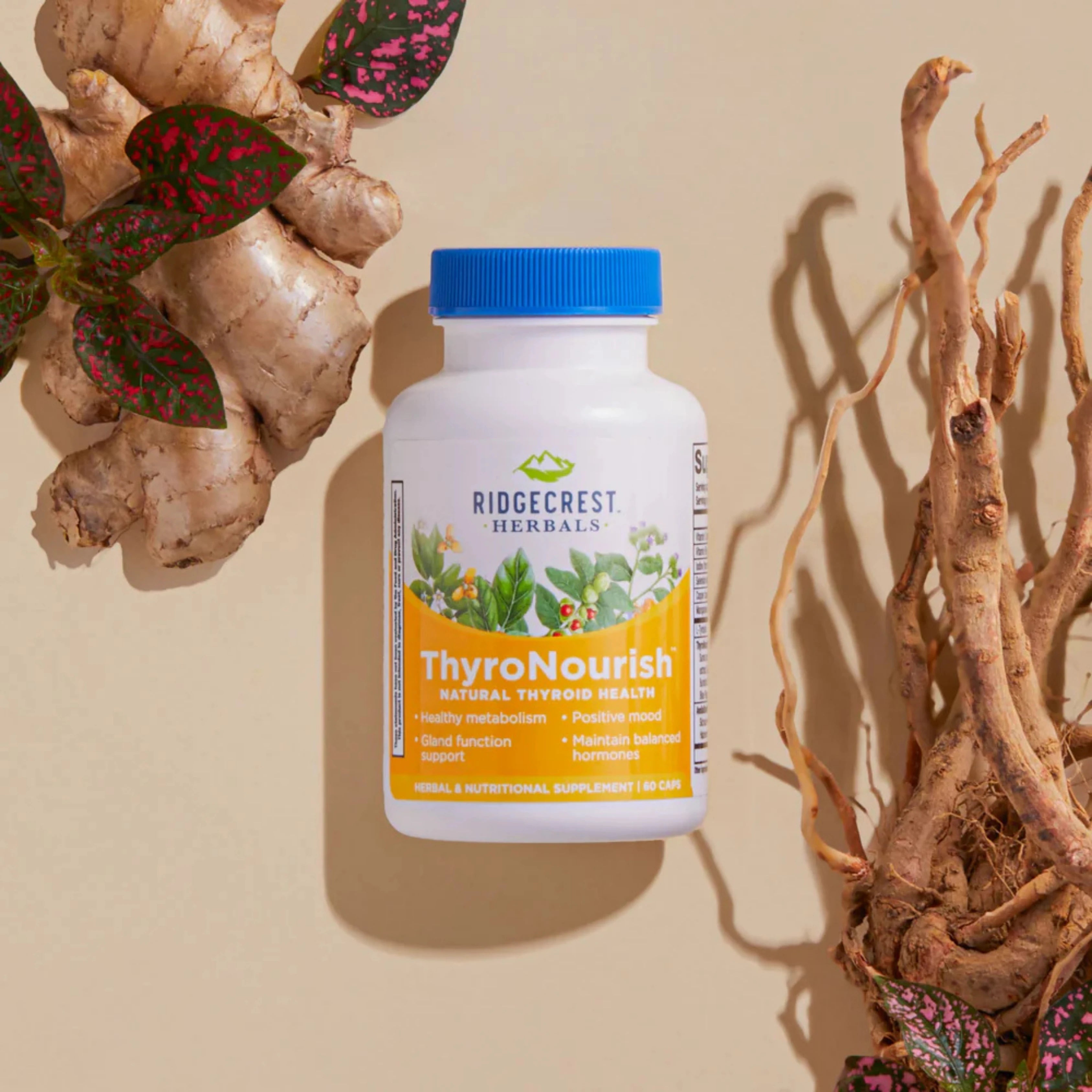 Ridgecrest Herbals, ThyroNourish, 60 Capsules